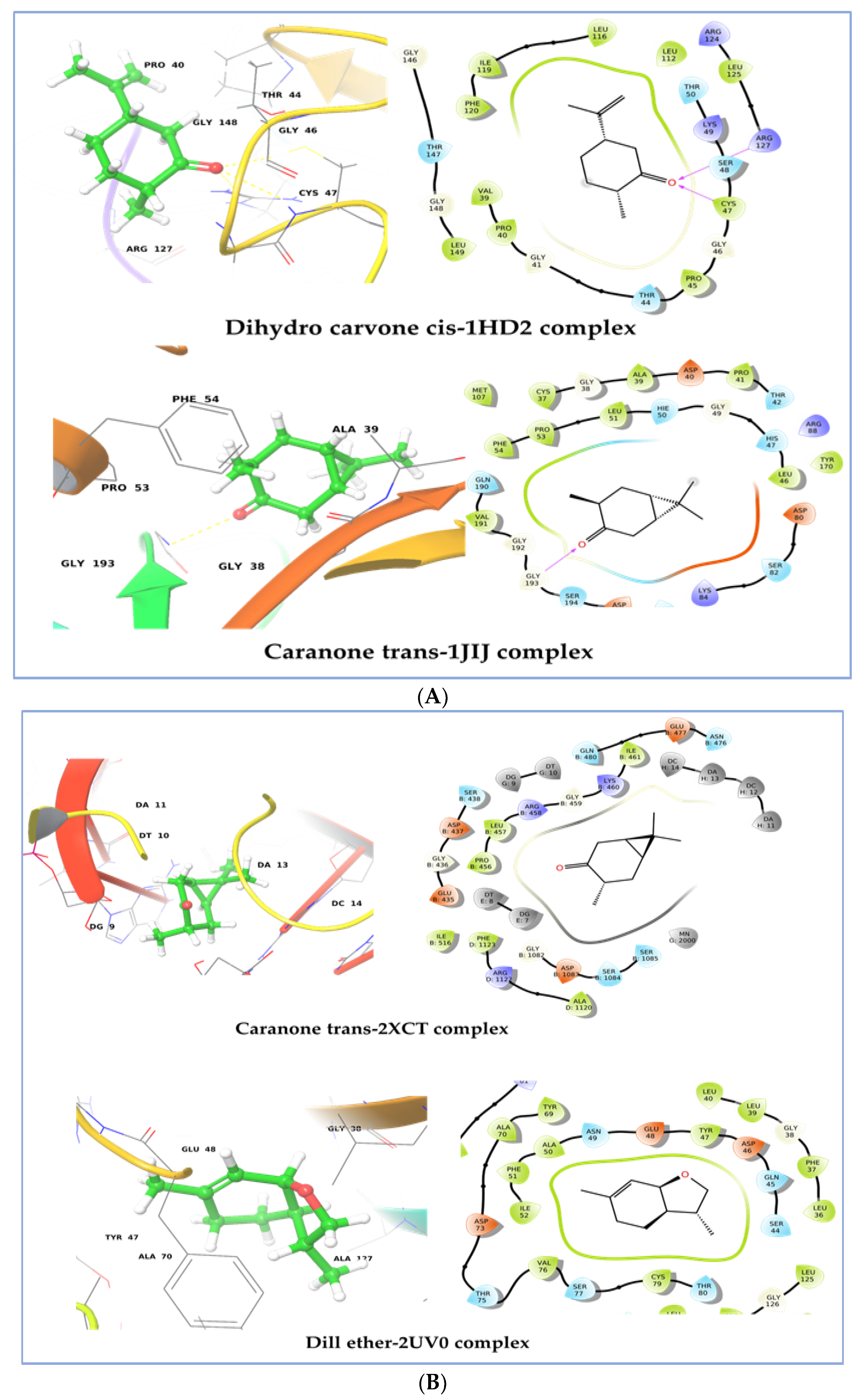 Plants 12 01997 g009a Plants 12 01997 g009a
