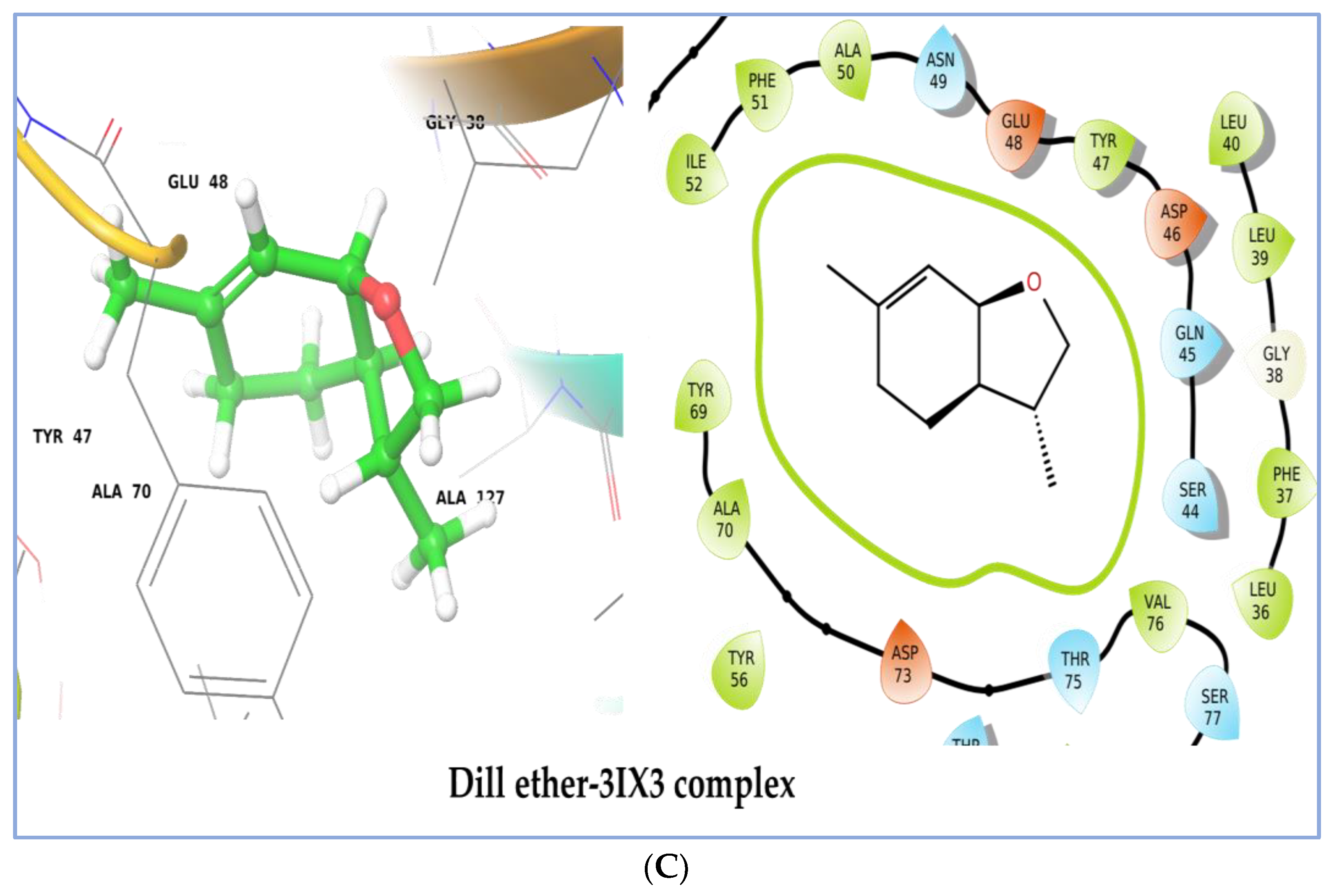 Plants 12 01997 g009b Plants 12 01997 g009b