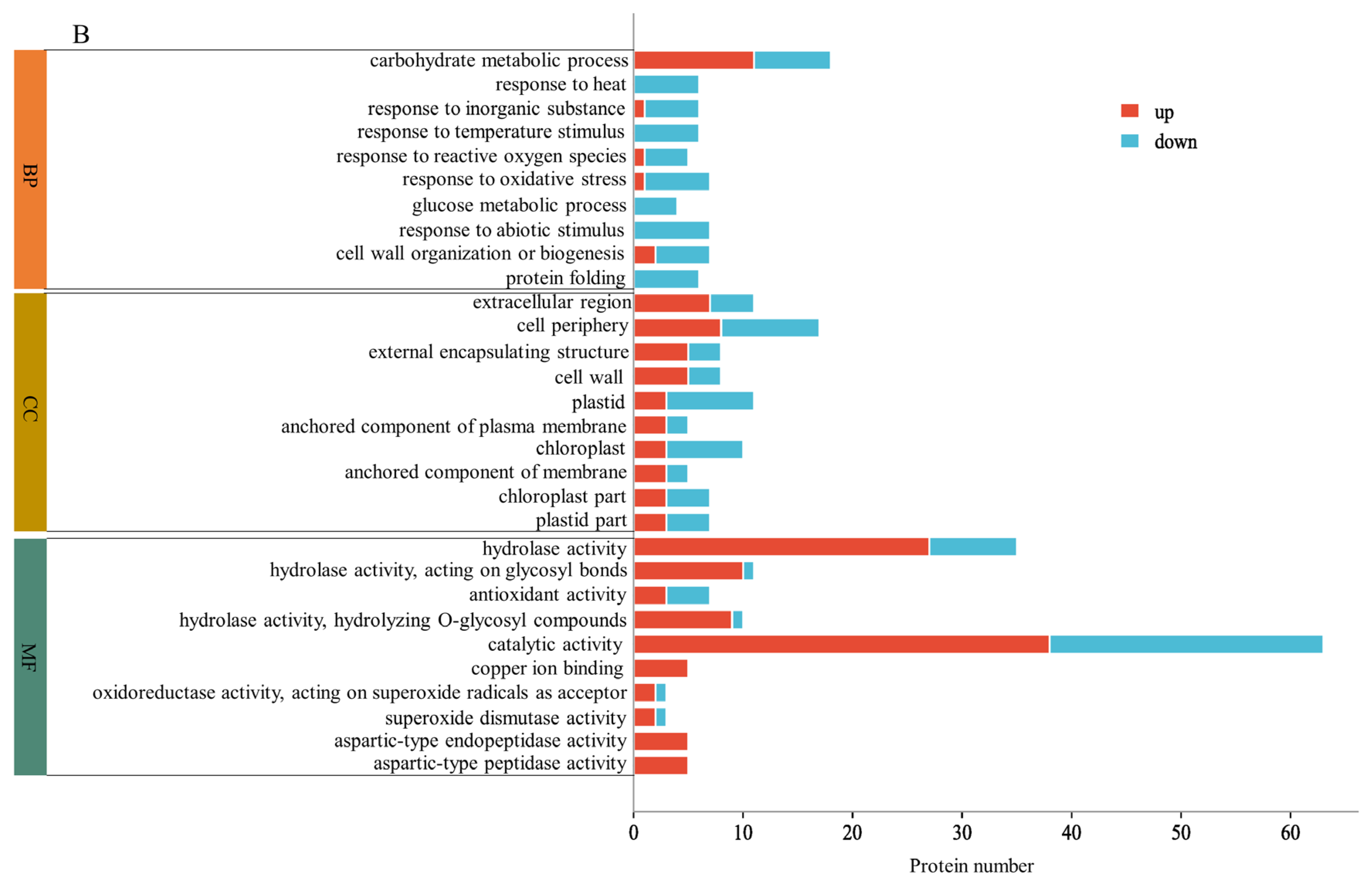 Plants 12 02037 g003b