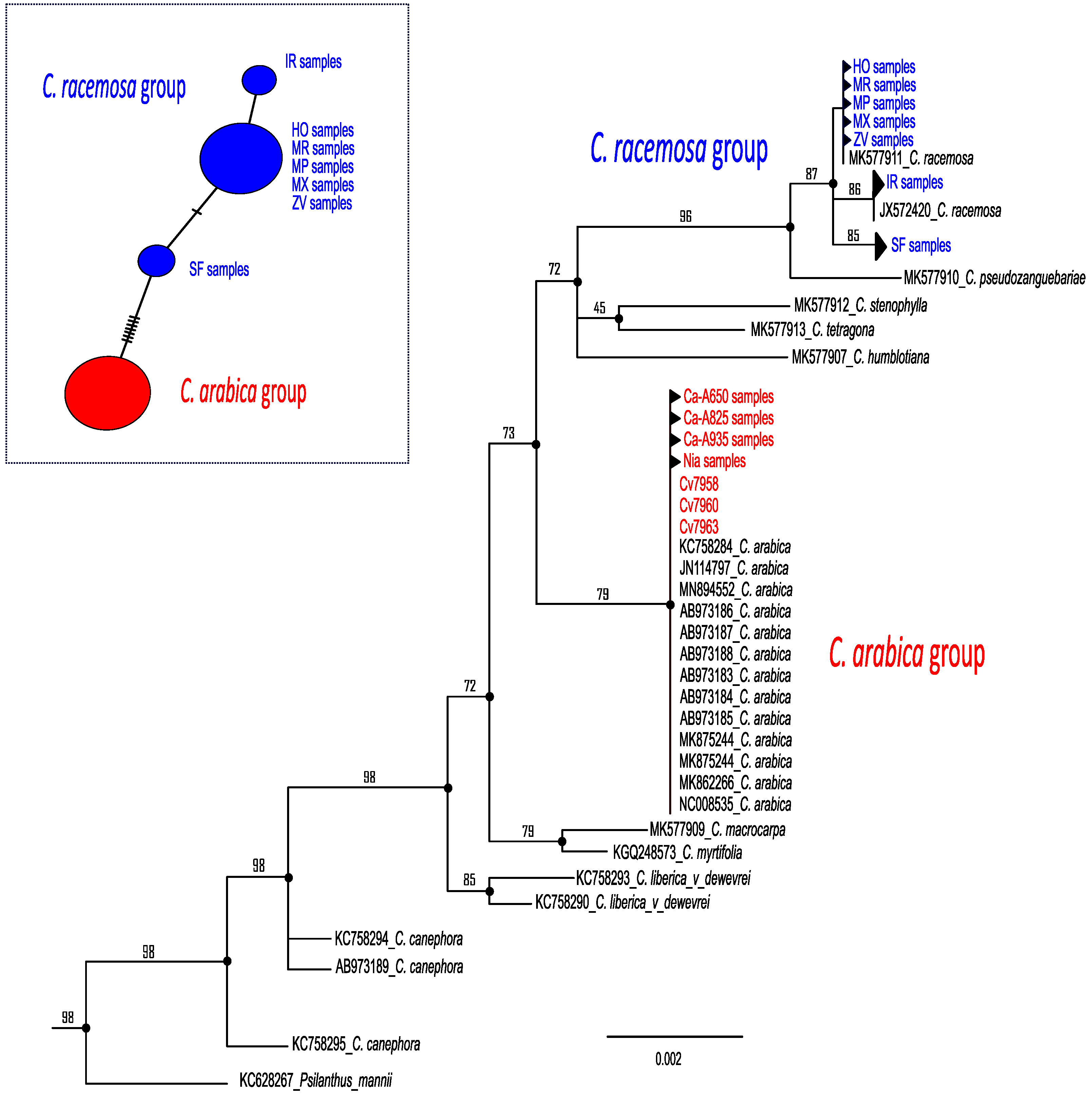Plants 12 02044 g002 Plants 12 02044 g002