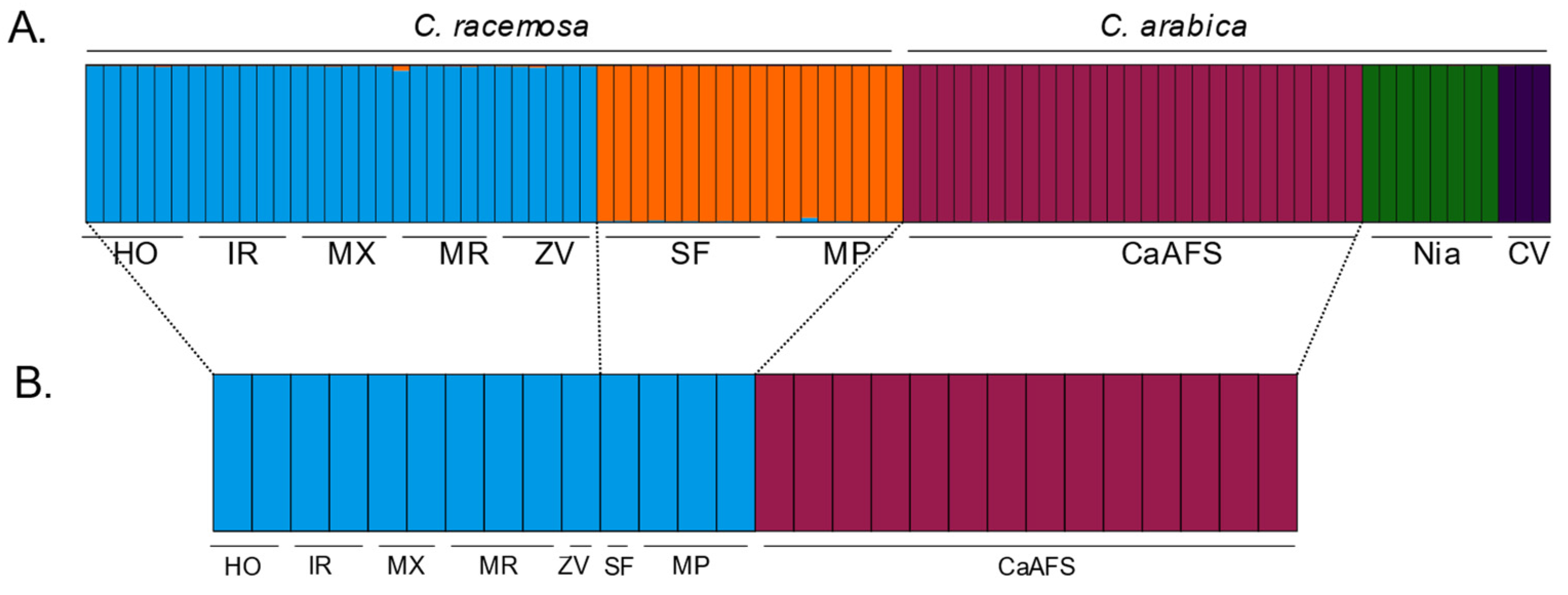 Plants 12 02044 g003 Plants 12 02044 g003