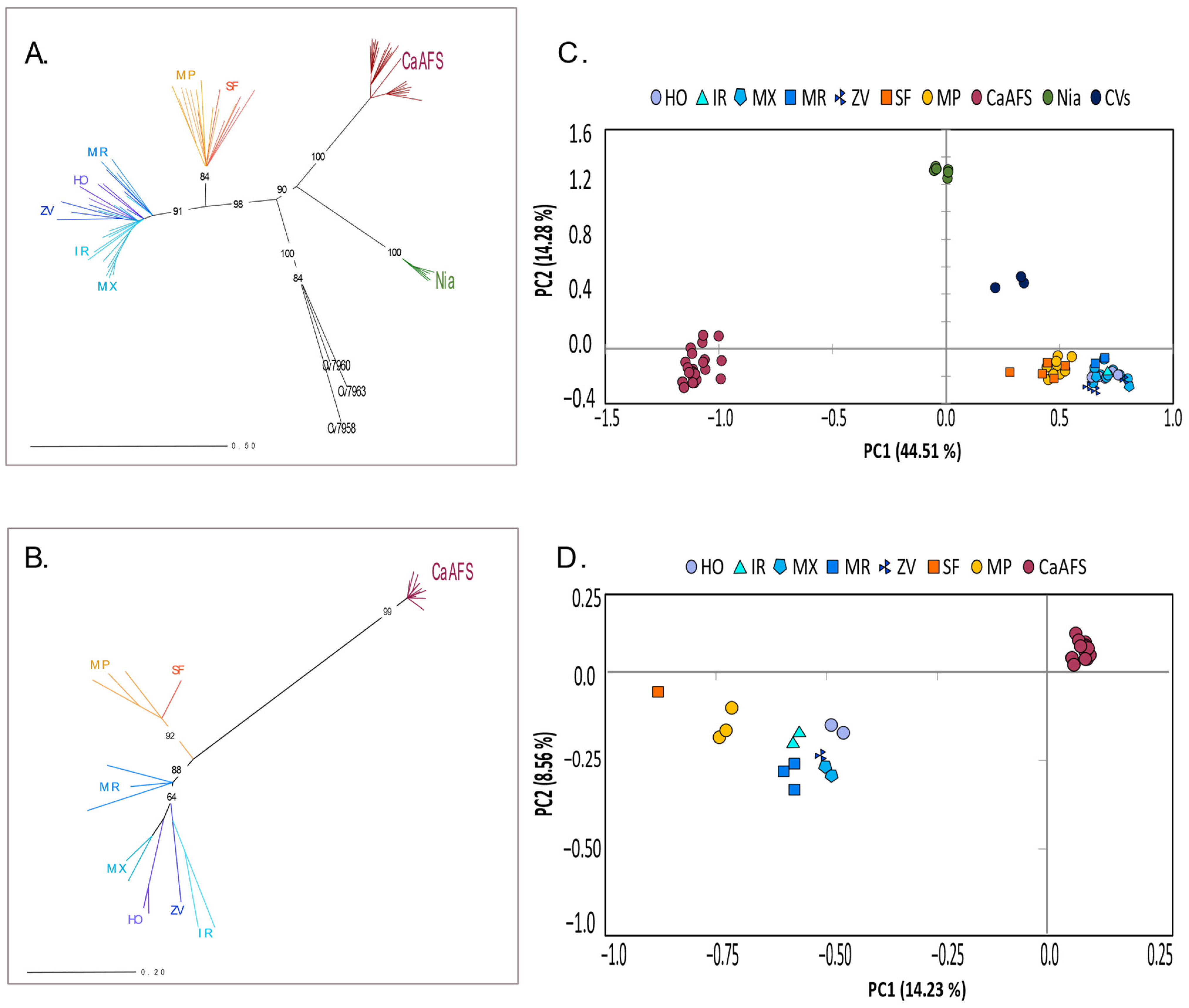 Plants 12 02044 g004 Plants 12 02044 g004