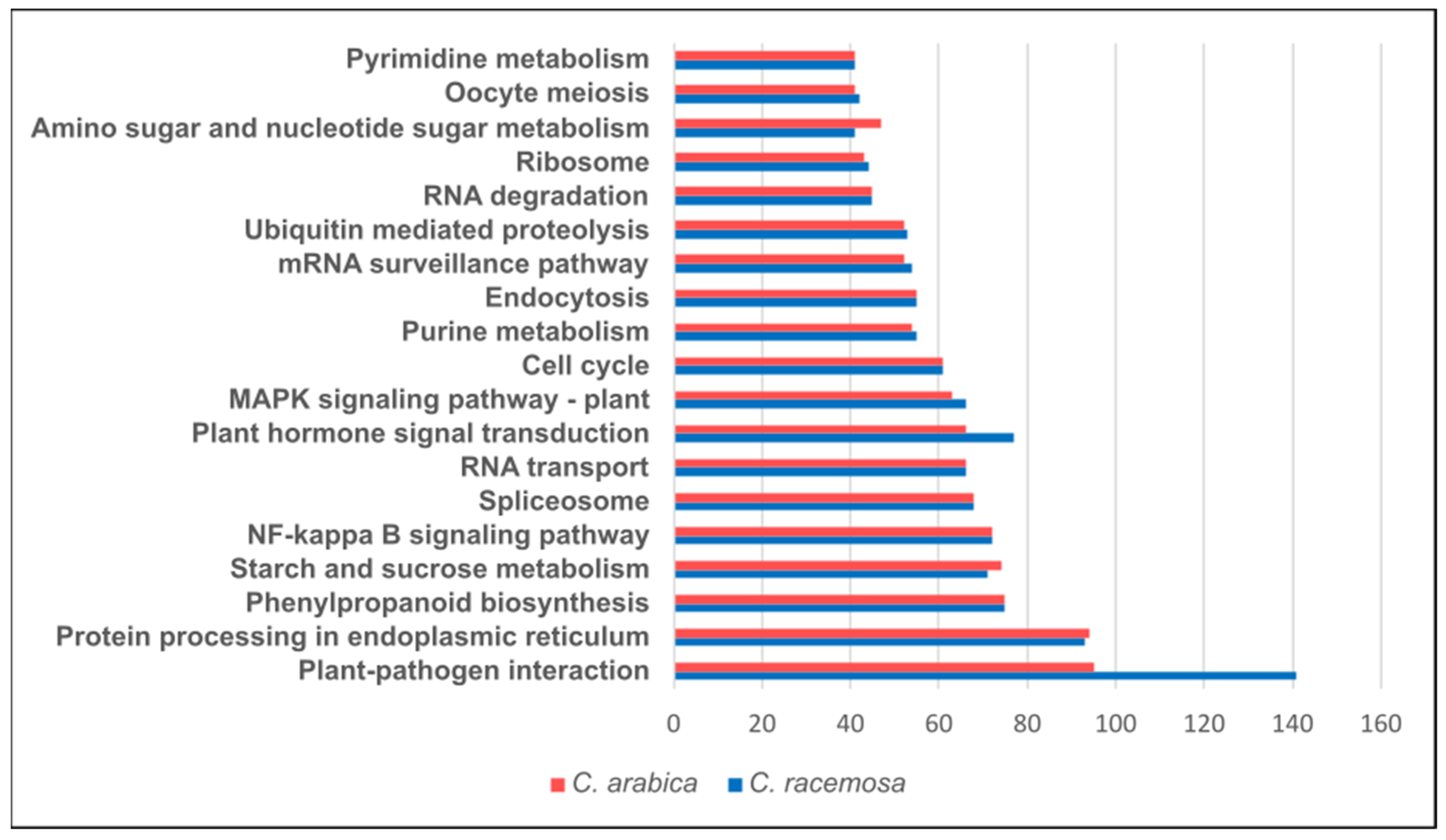 Plants 12 02044 g006 Plants 12 02044 g006