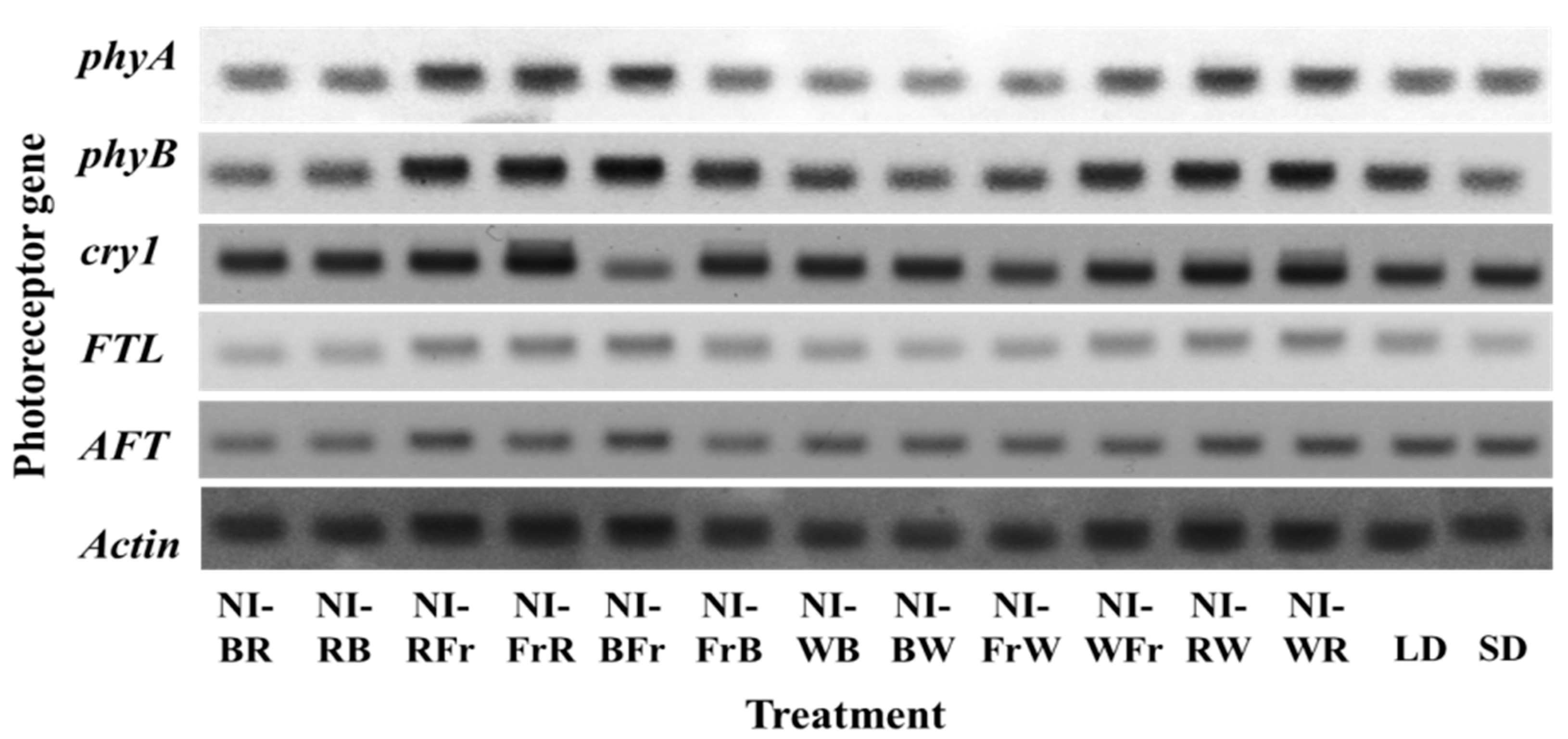 Plants 12 02049 g006 Plants 12 02049 g006