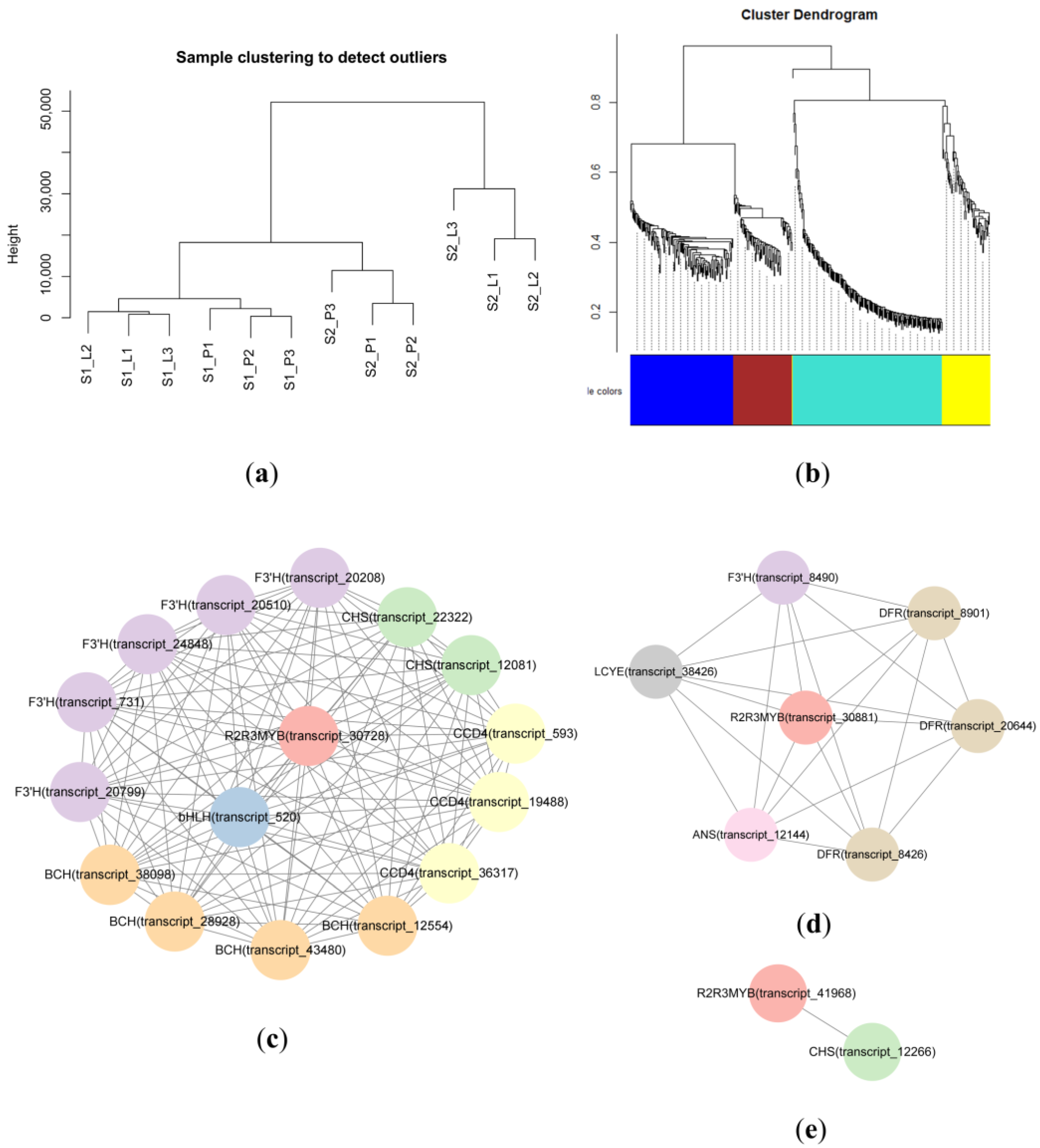 Plants 12 02058 g007