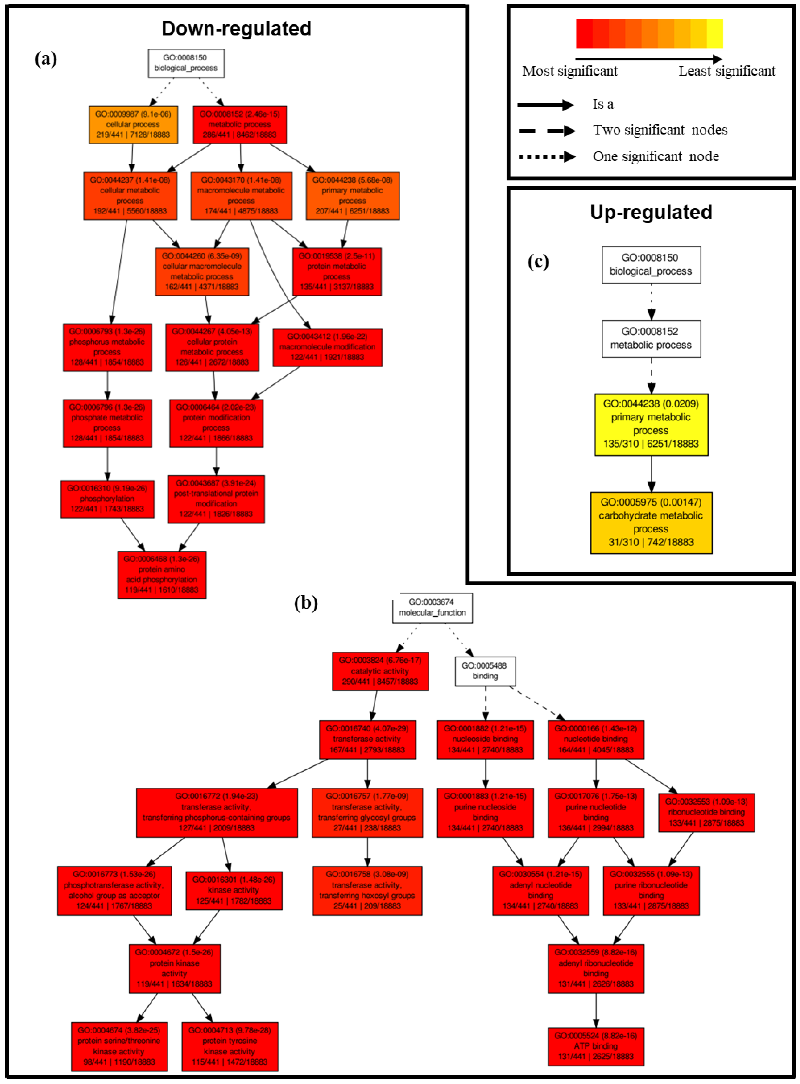 Plants 12 02059 g004
