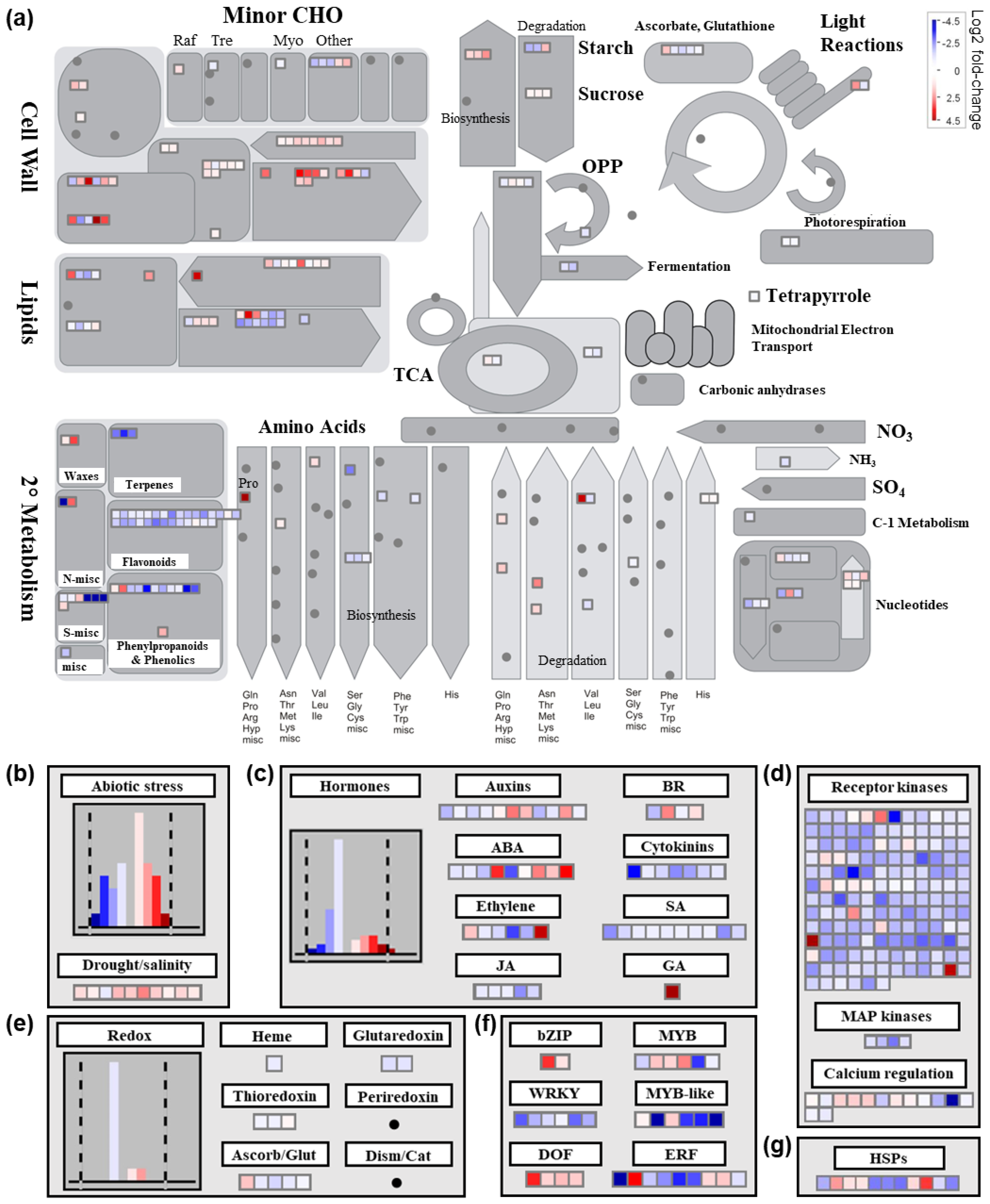 Plants 12 02059 g005
