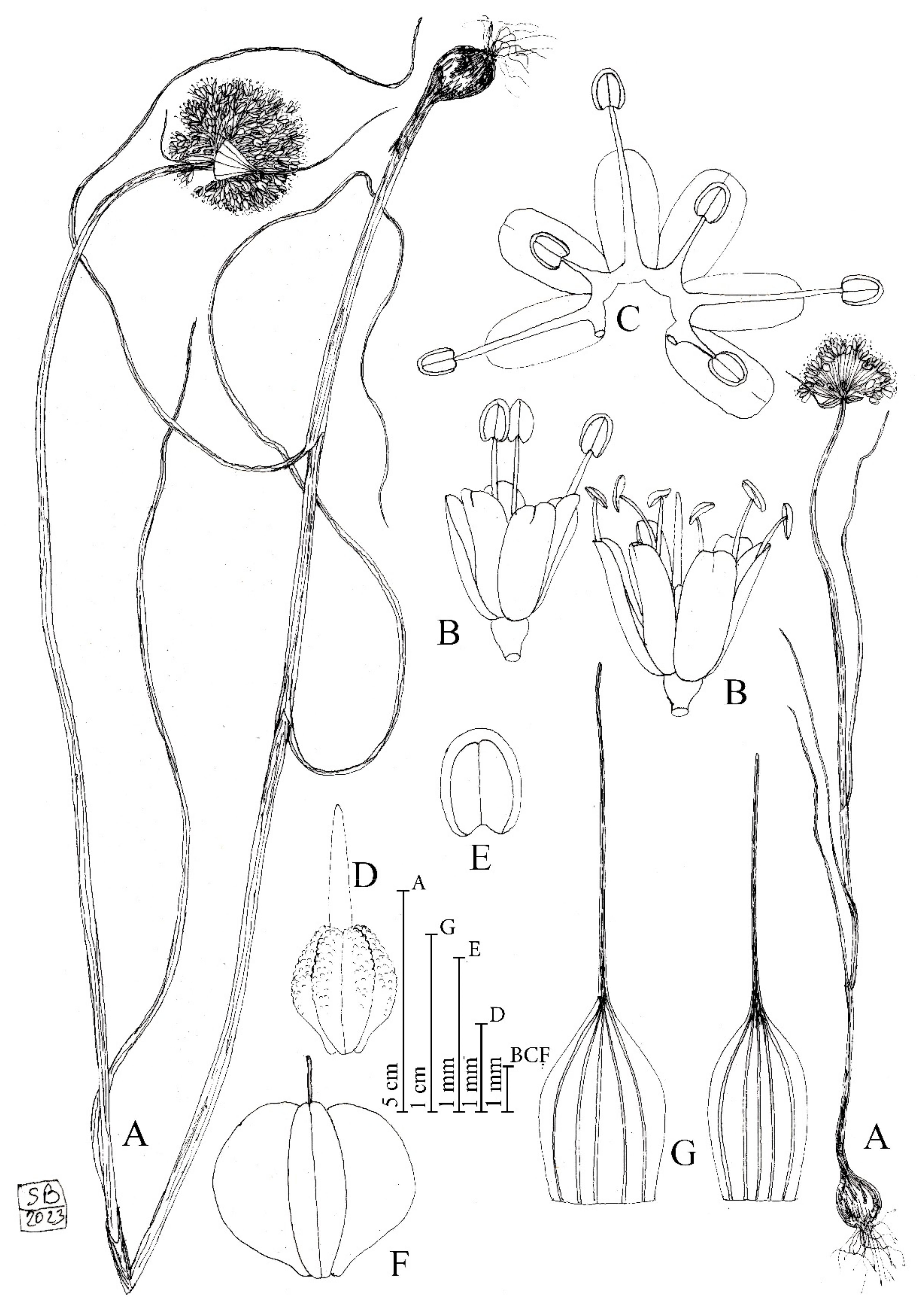 How to Draw] Fixing the Common Flaws with Stick Figures – The Anatomy of  Art and Game Development