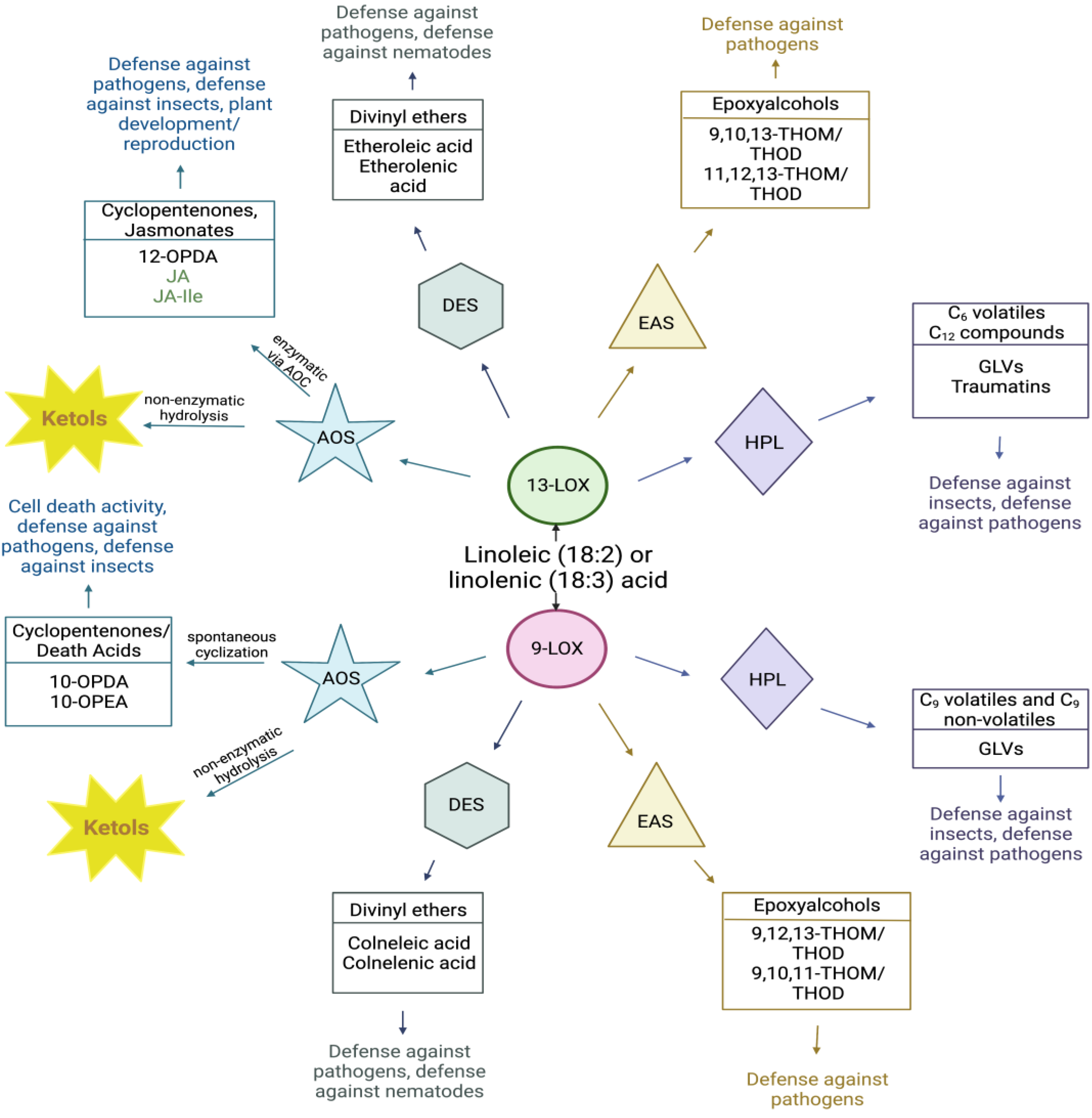Plants 12 02088 g001