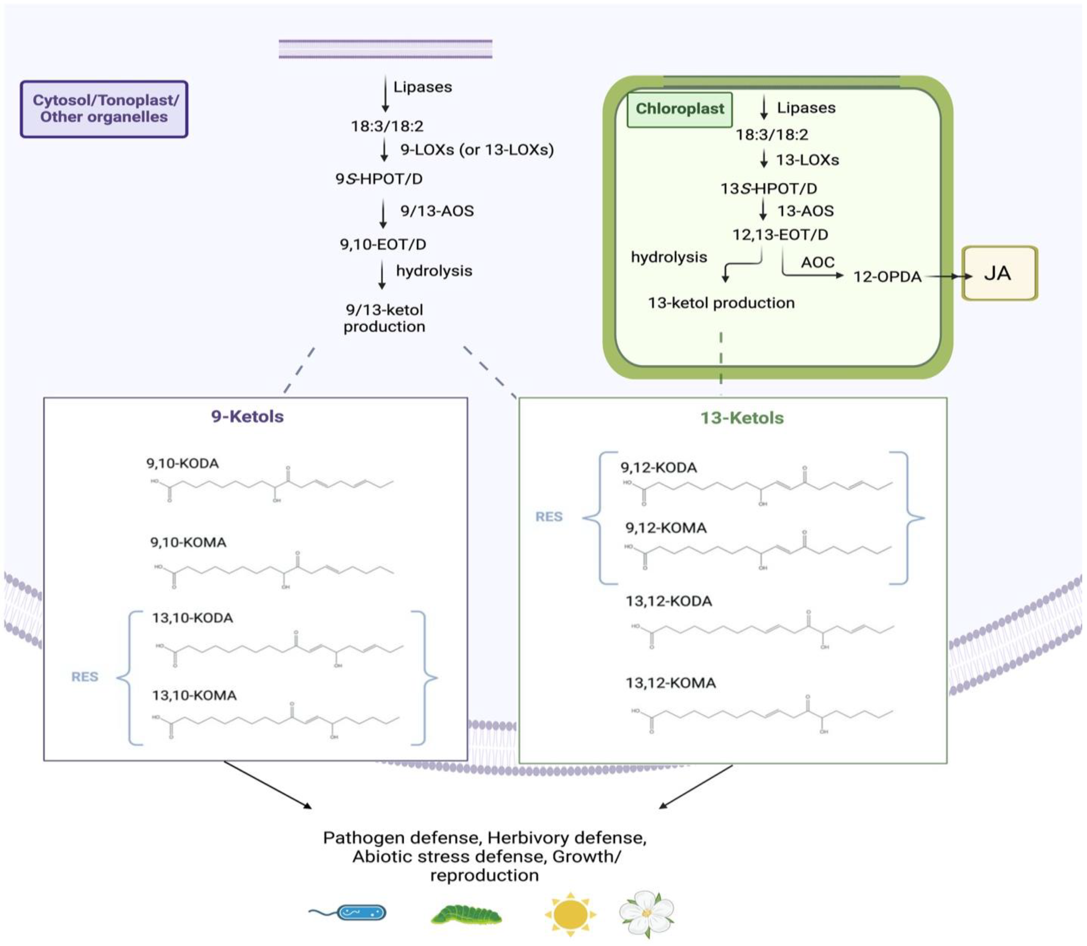 Plants 12 02088 g002