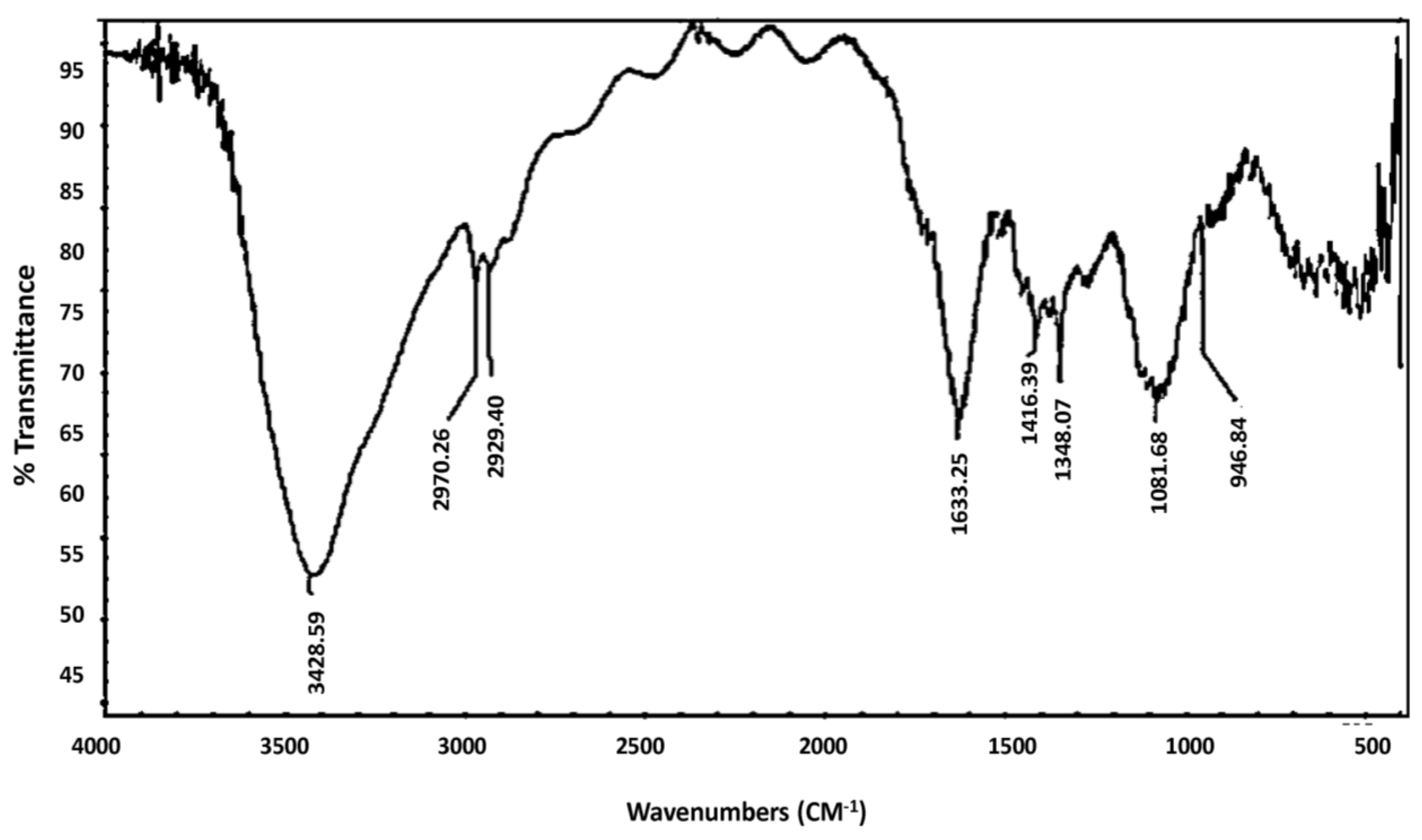 Plants 12 02093 g001