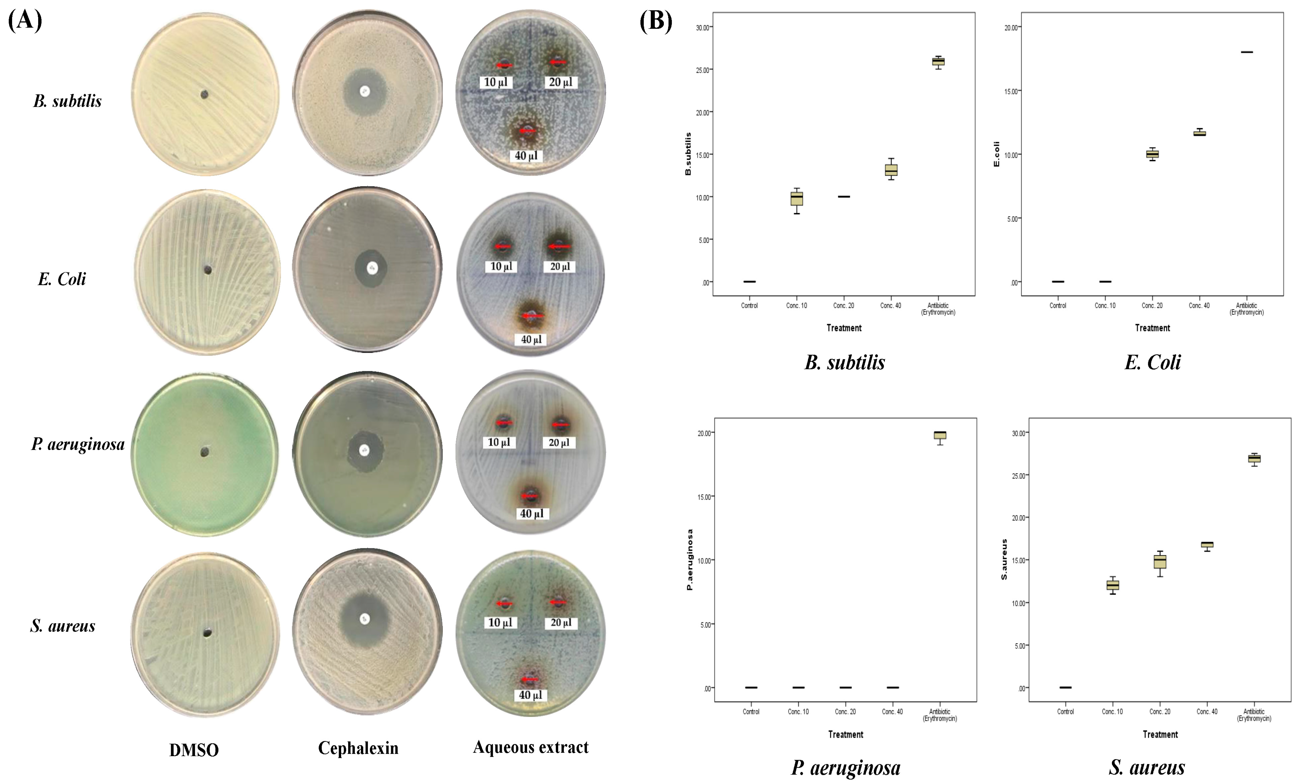 Plants 12 02093 g005