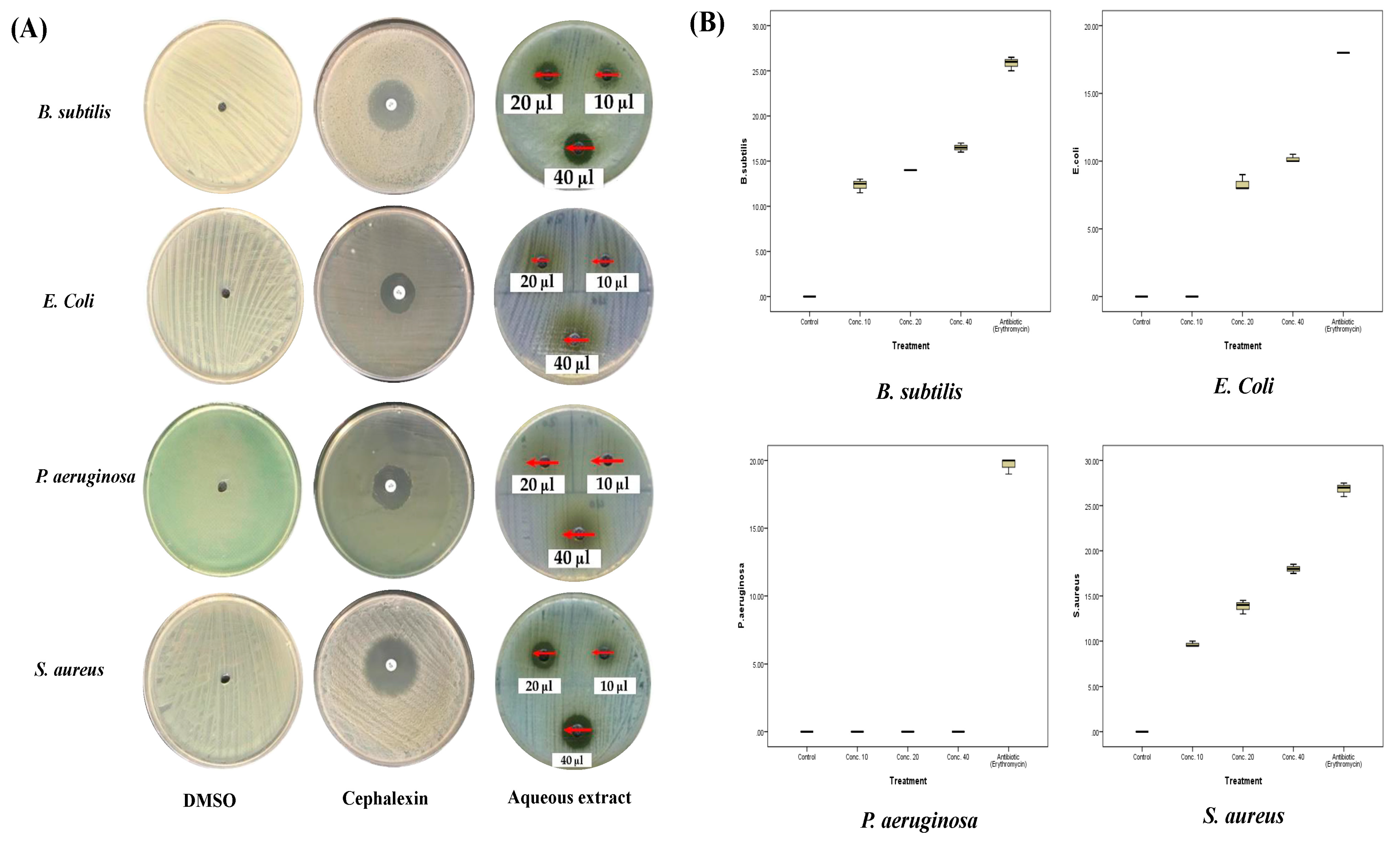 Plants 12 02093 g006