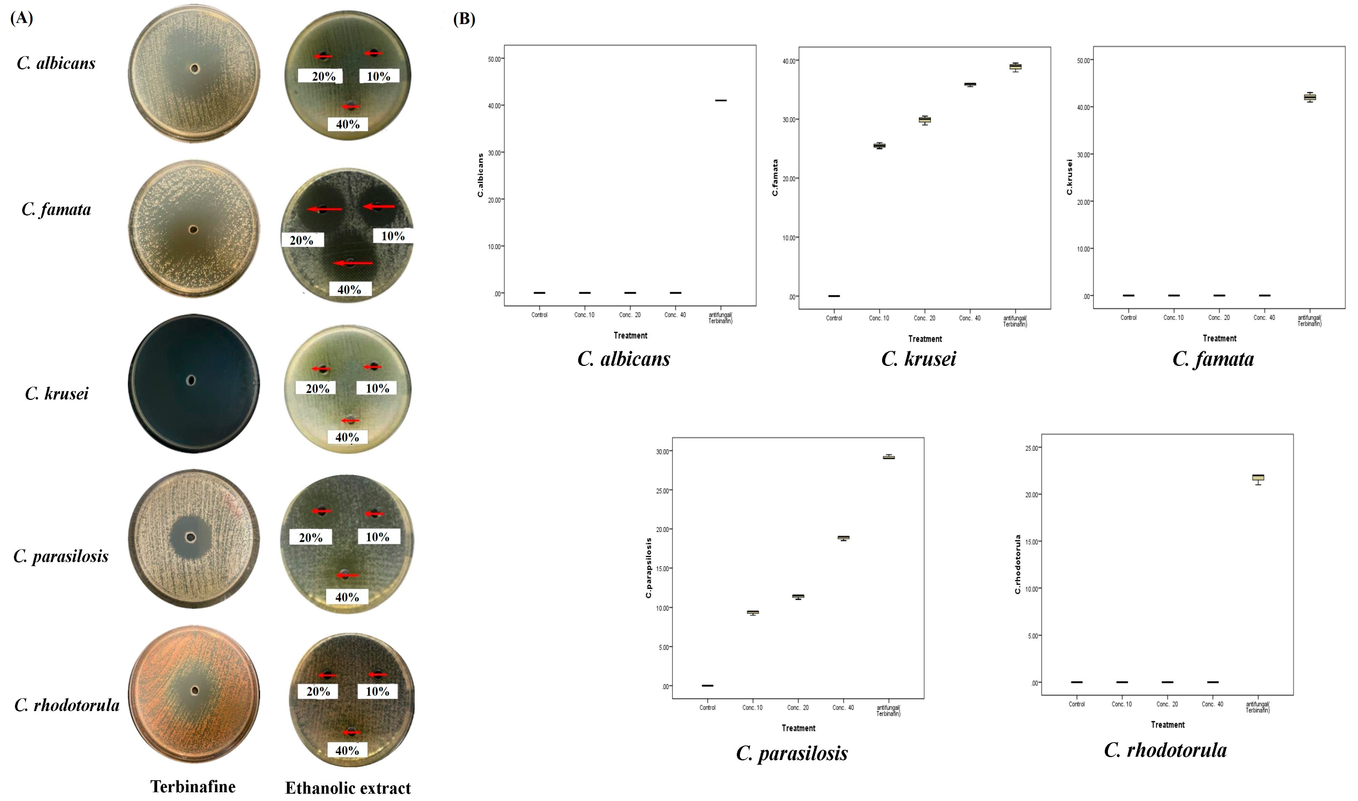 Plants 12 02093 g009