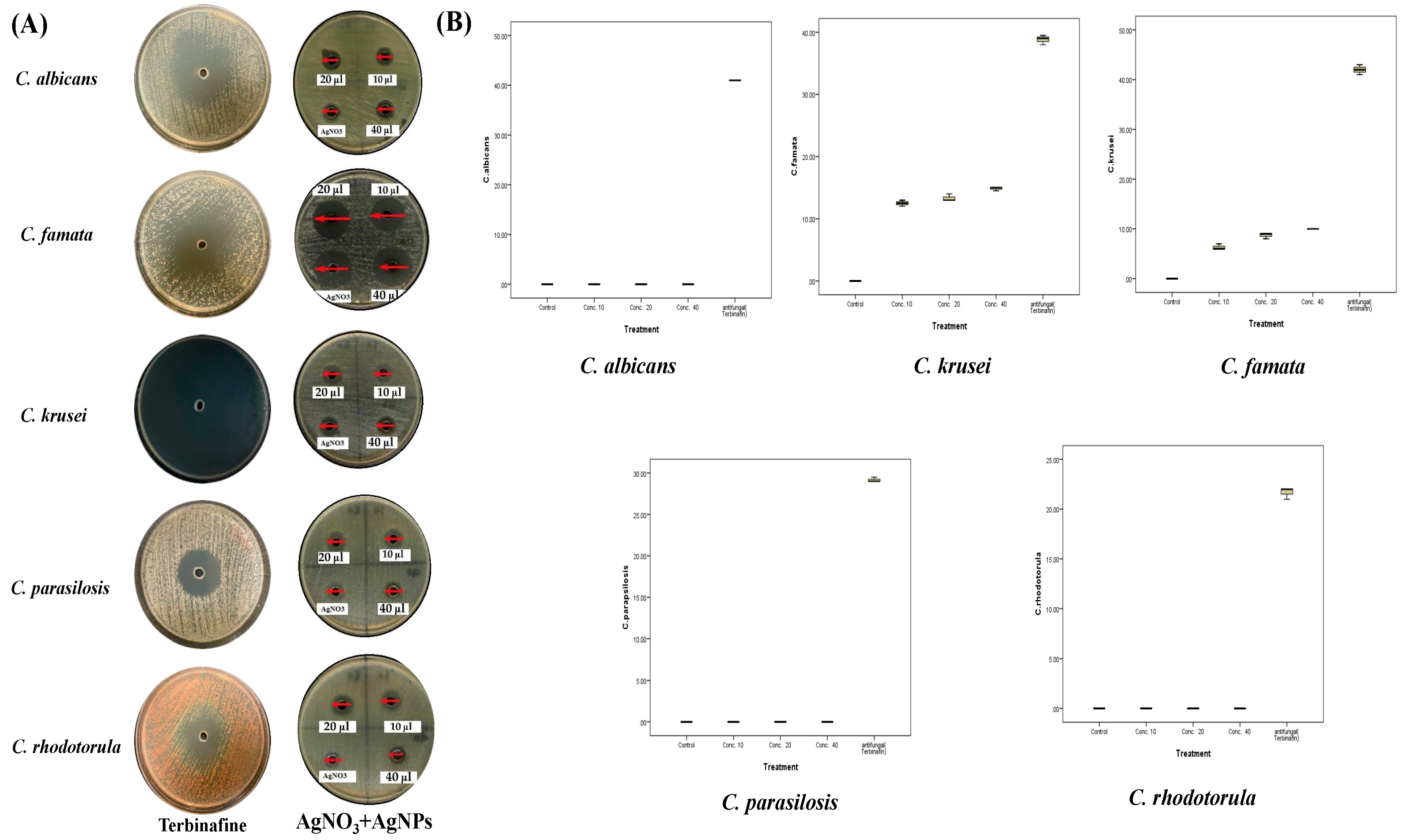 Plants 12 02093 g010