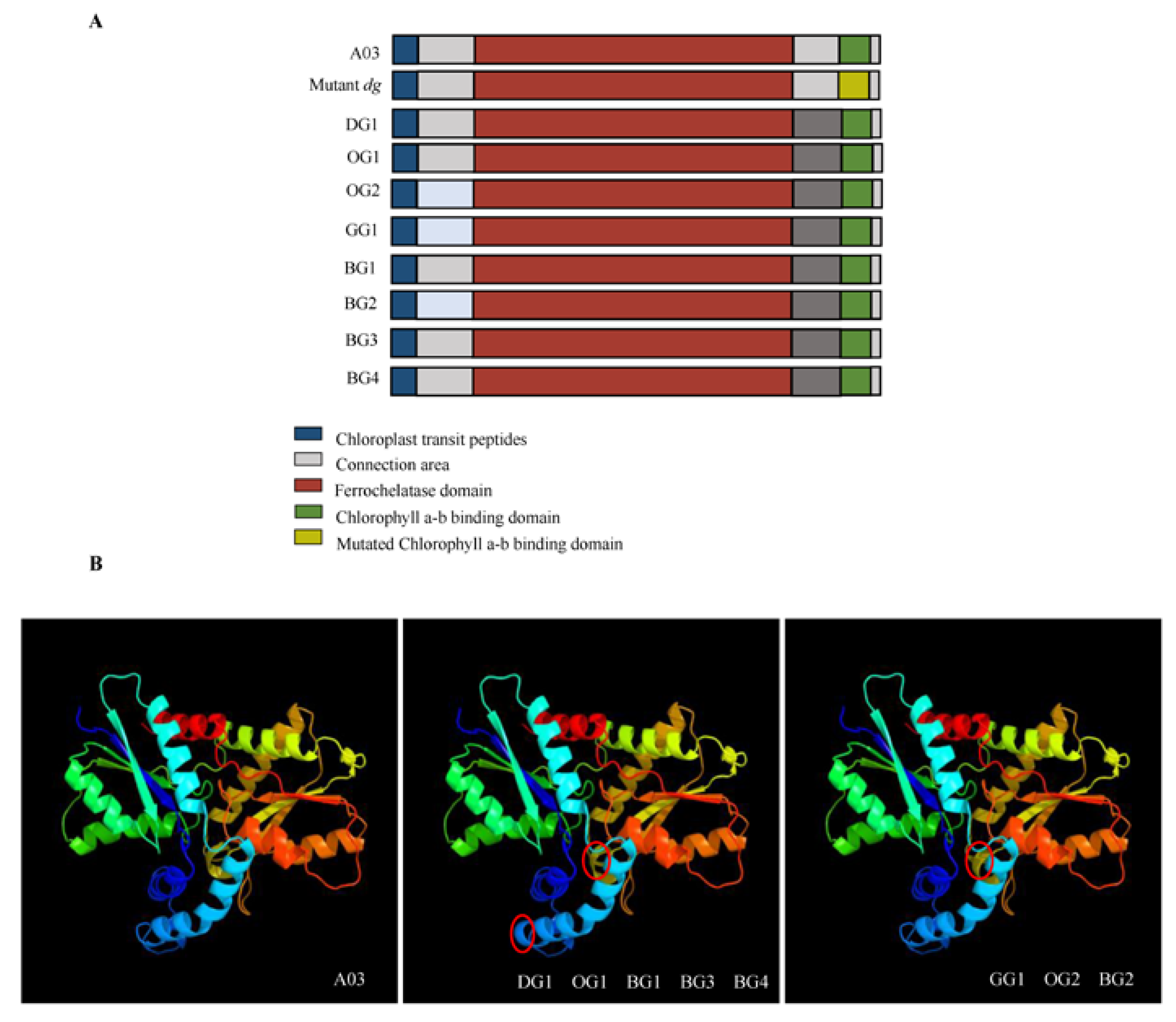 Plants 12 02124 g004