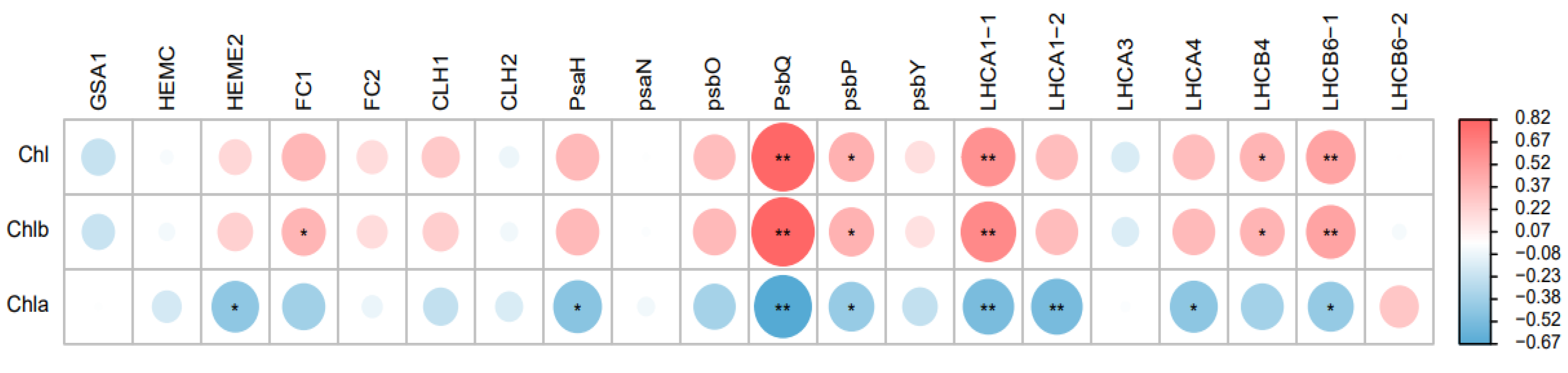 Plants 12 02124 g006
