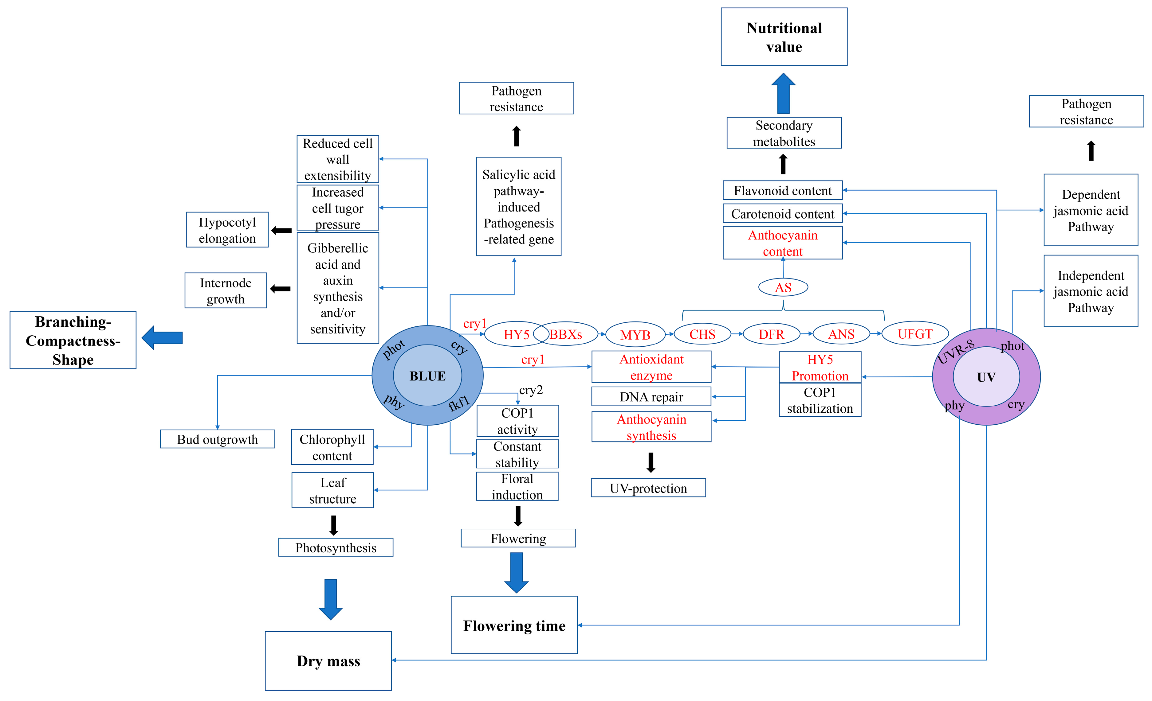 Plants 12 02169 g008