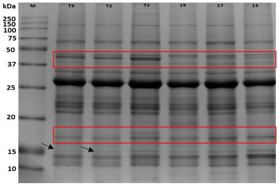 A, The color scale of protein variability and conservancy obtained from