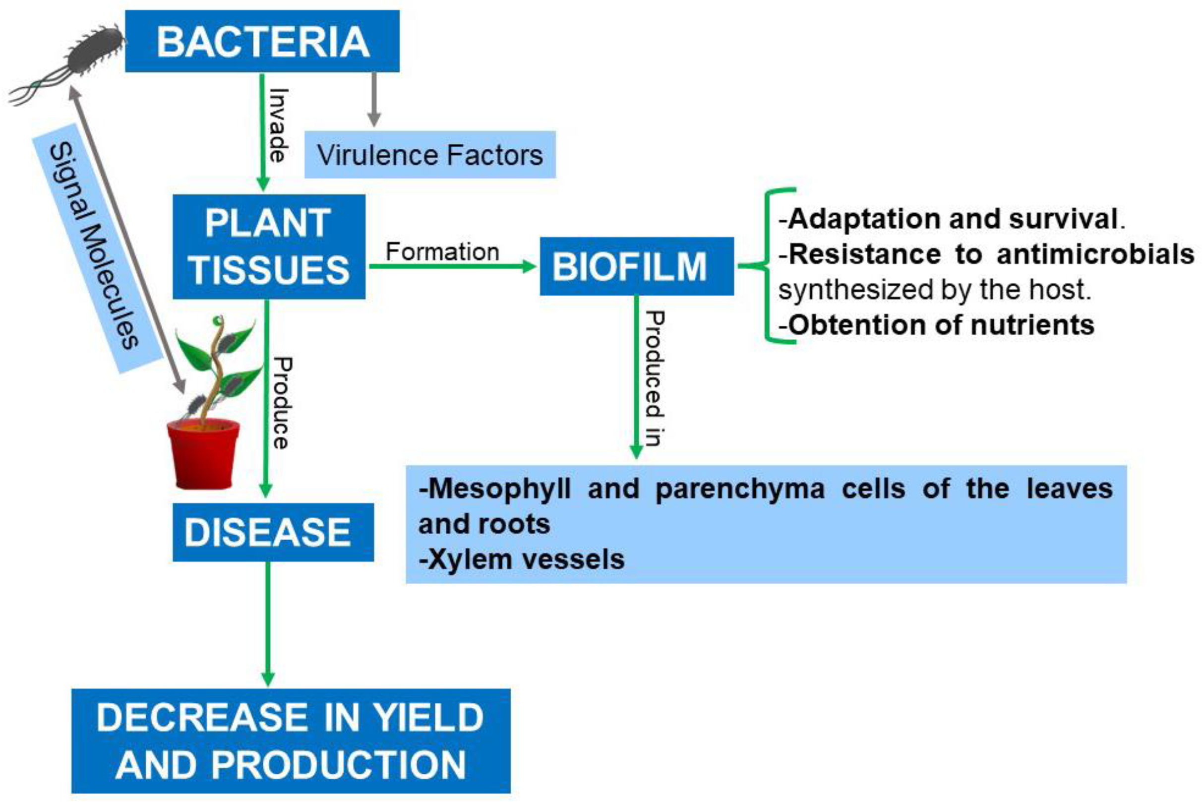 Plants 12 02207 g002 Plants 12 02207 g002