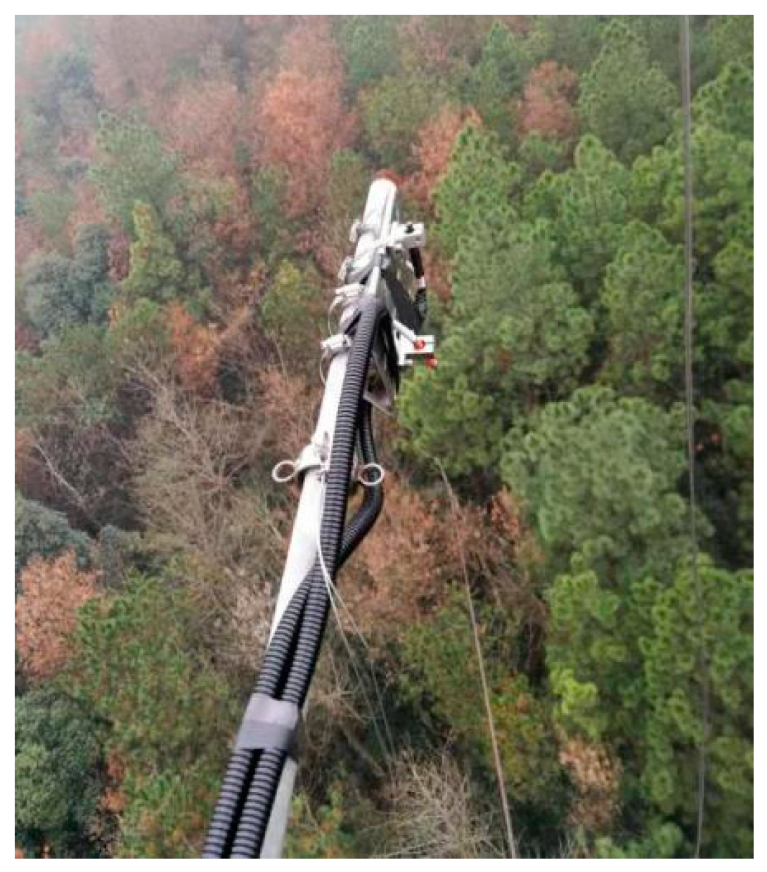 Plants 12 02224 g008 Plants 12 02224 g008