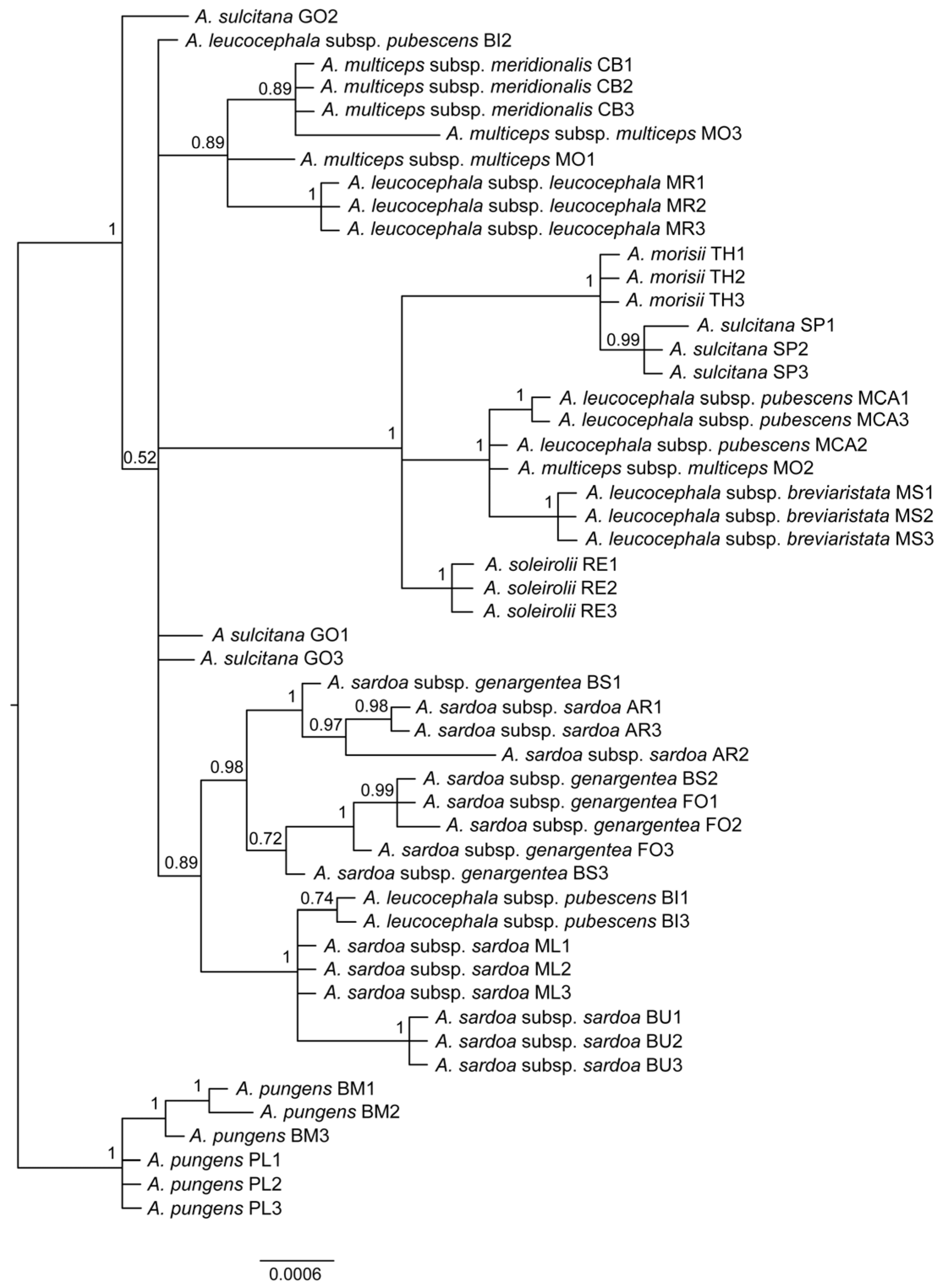 Plants 12 02229 g003 Plants 12 02229 g003