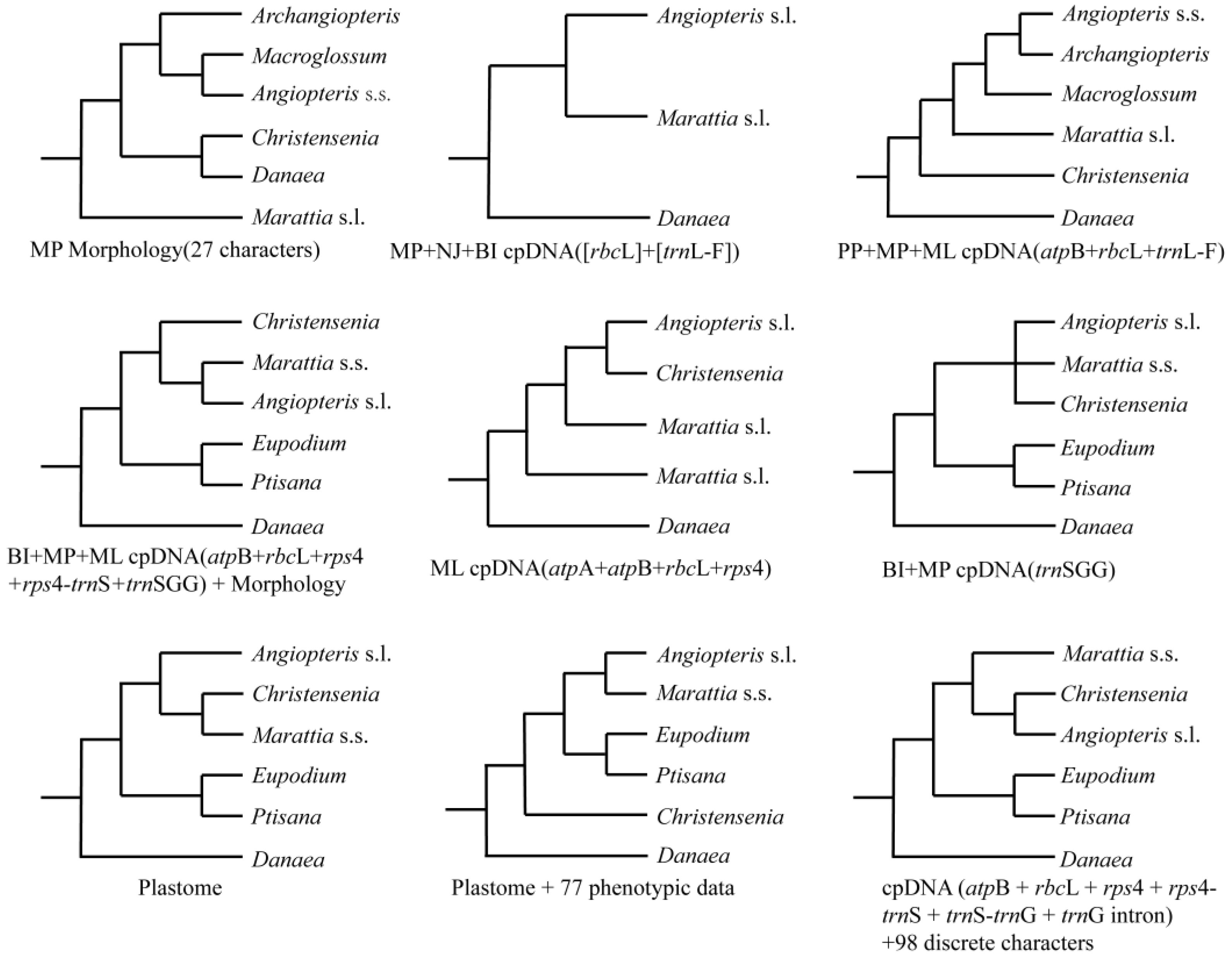Plants 12 02237 g001