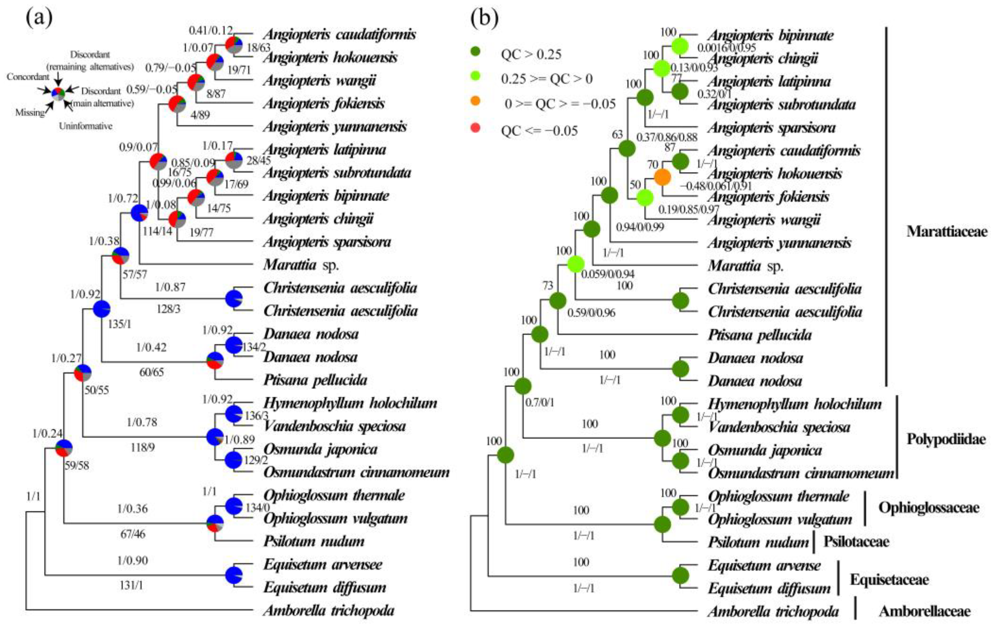 Plants 12 02237 g002
