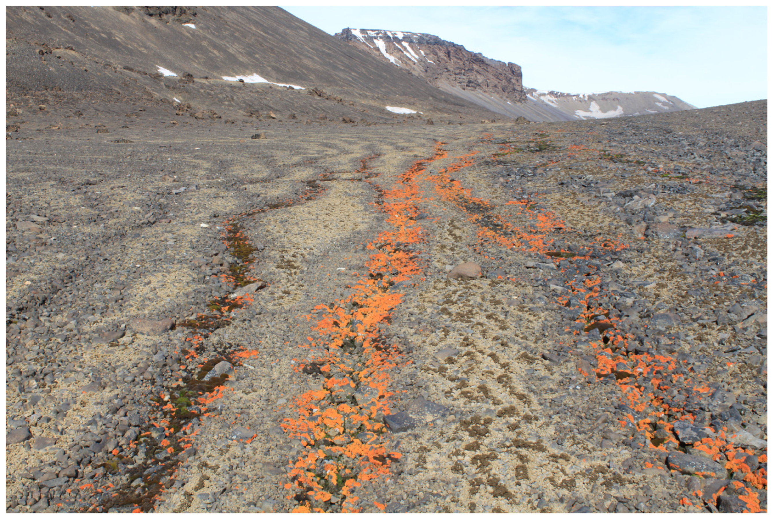 Plants 12 02259 g007