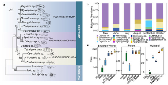 https://www.mdpi.com/plants/plants-12-02260/article_deploy/html/images/plants-12-02260-g001-550.jpg