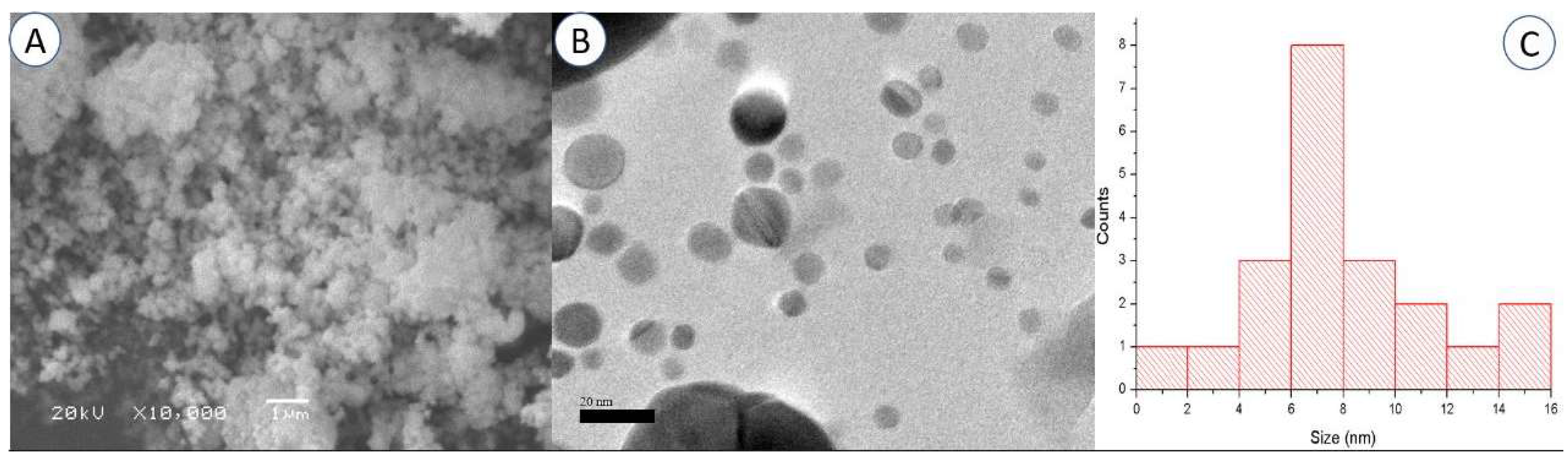 Plants 12 02274 g003