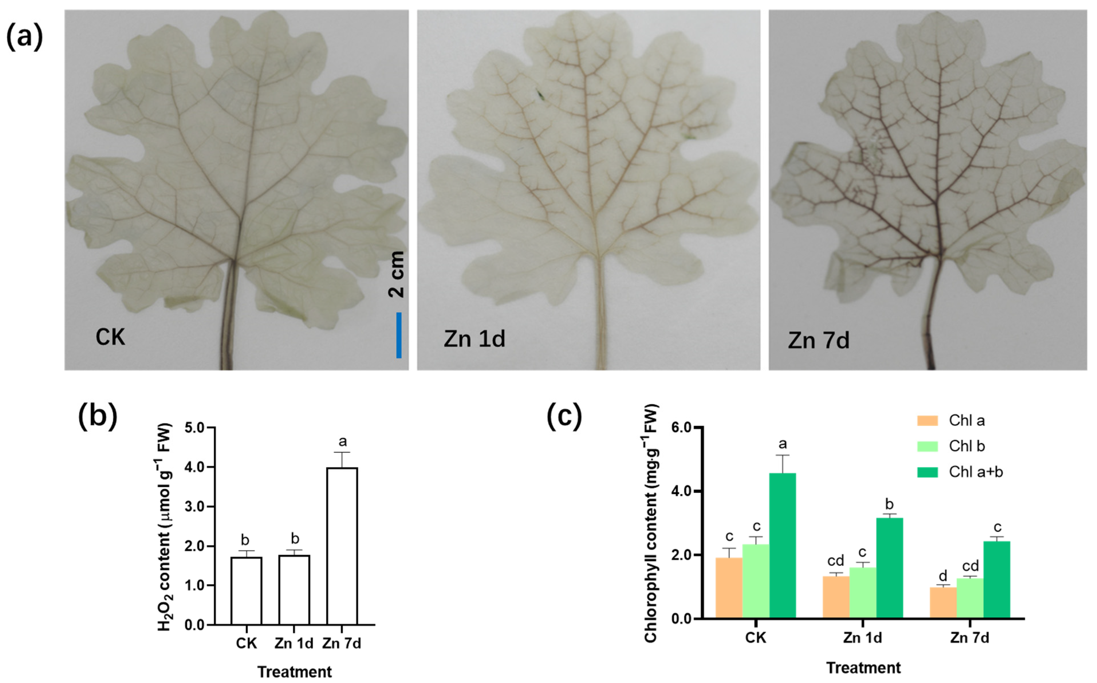 Plants 12 02275 g002 Plants 12 02275 g002