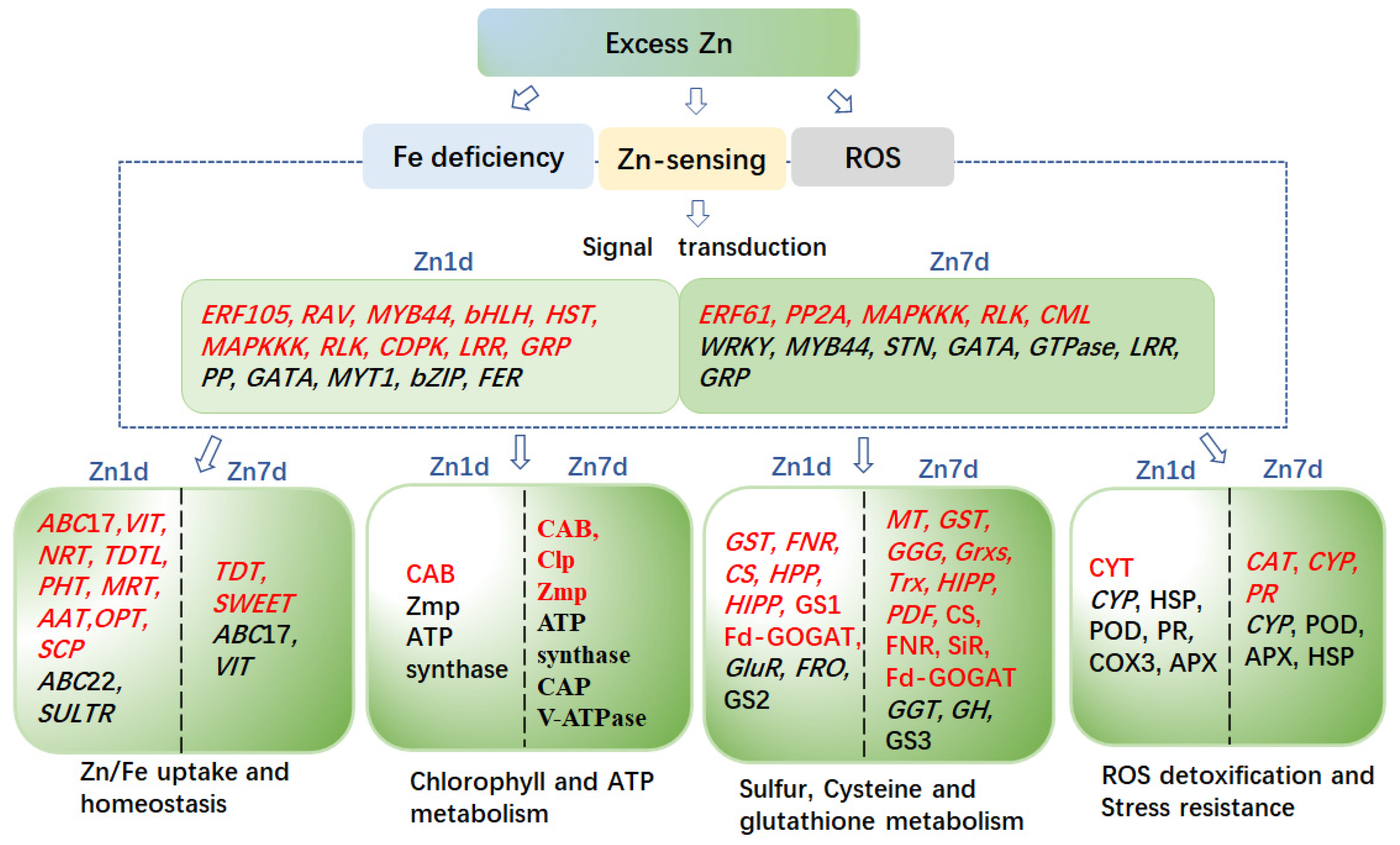 Plants 12 02275 g010 Plants 12 02275 g010