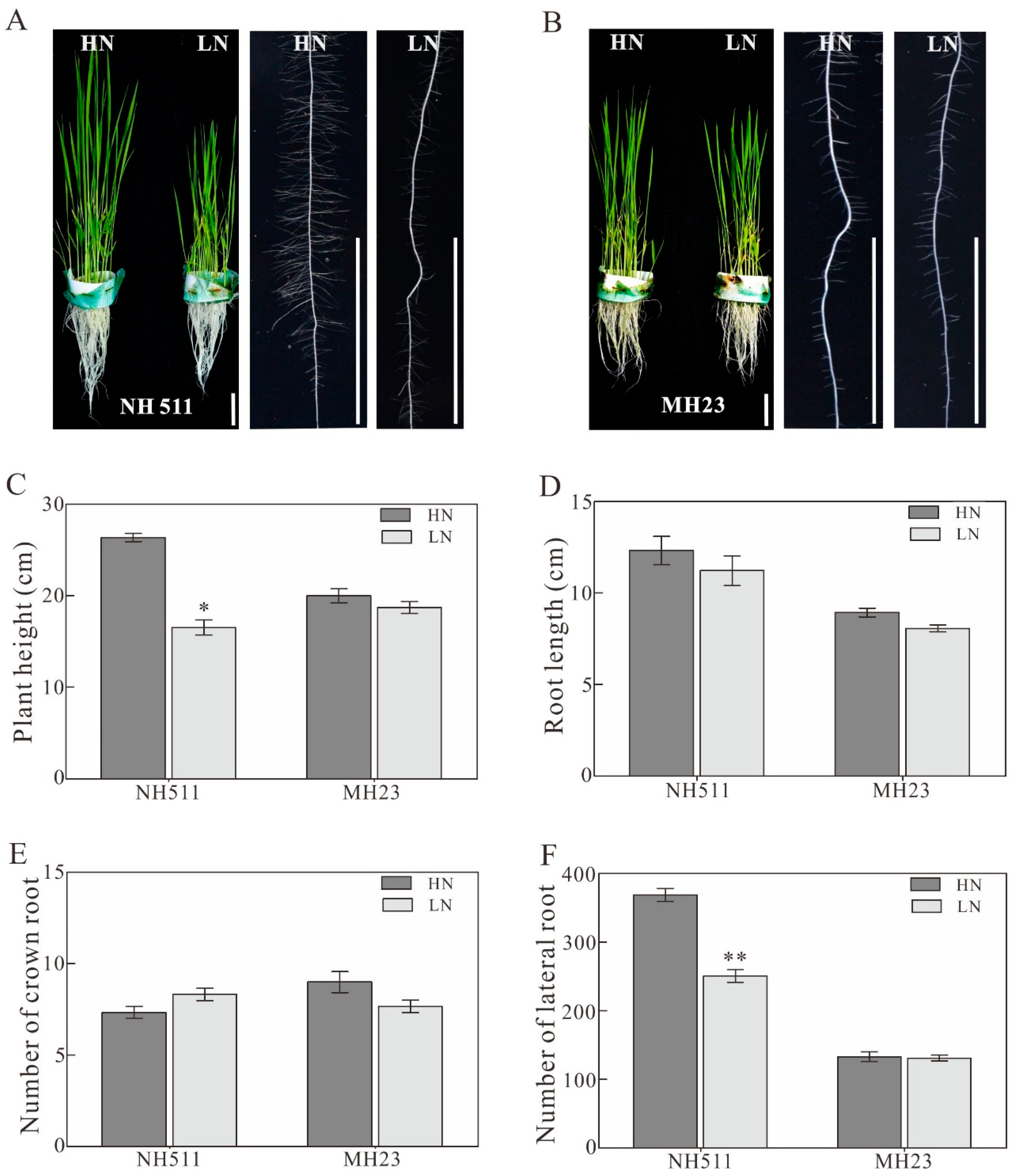 Plants 12 02276 g001