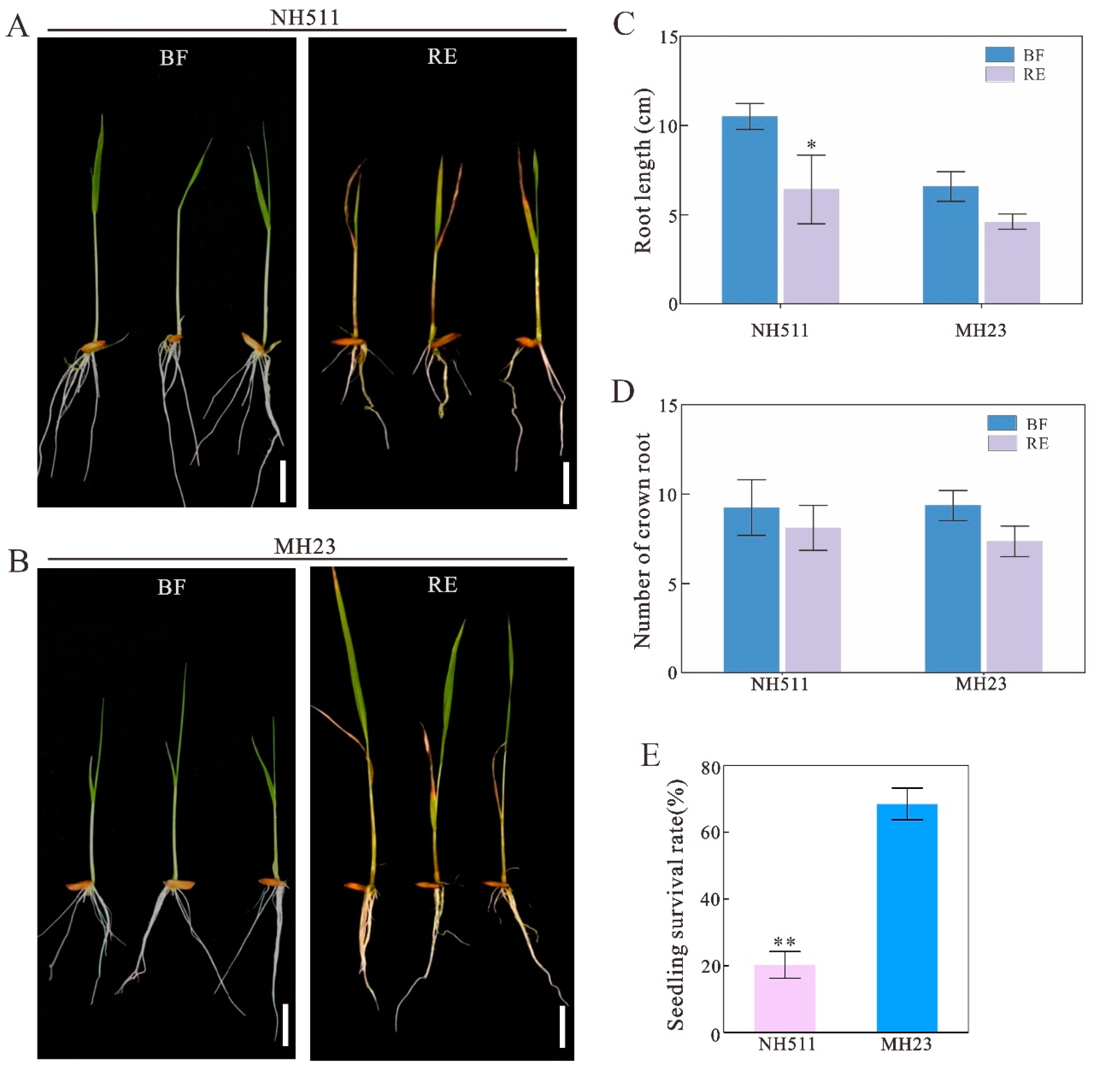 Plants 12 02276 g002