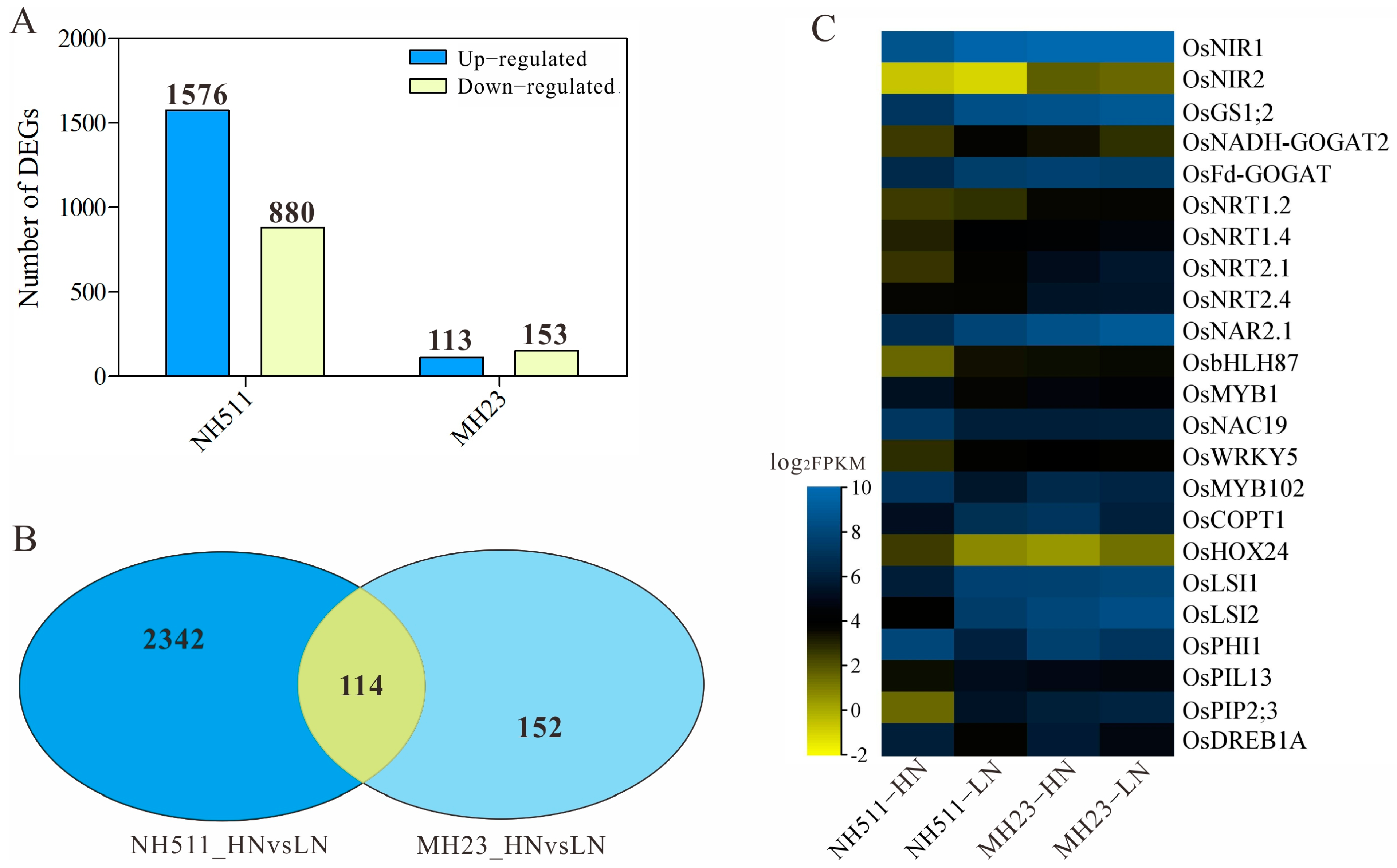 Plants 12 02276 g006