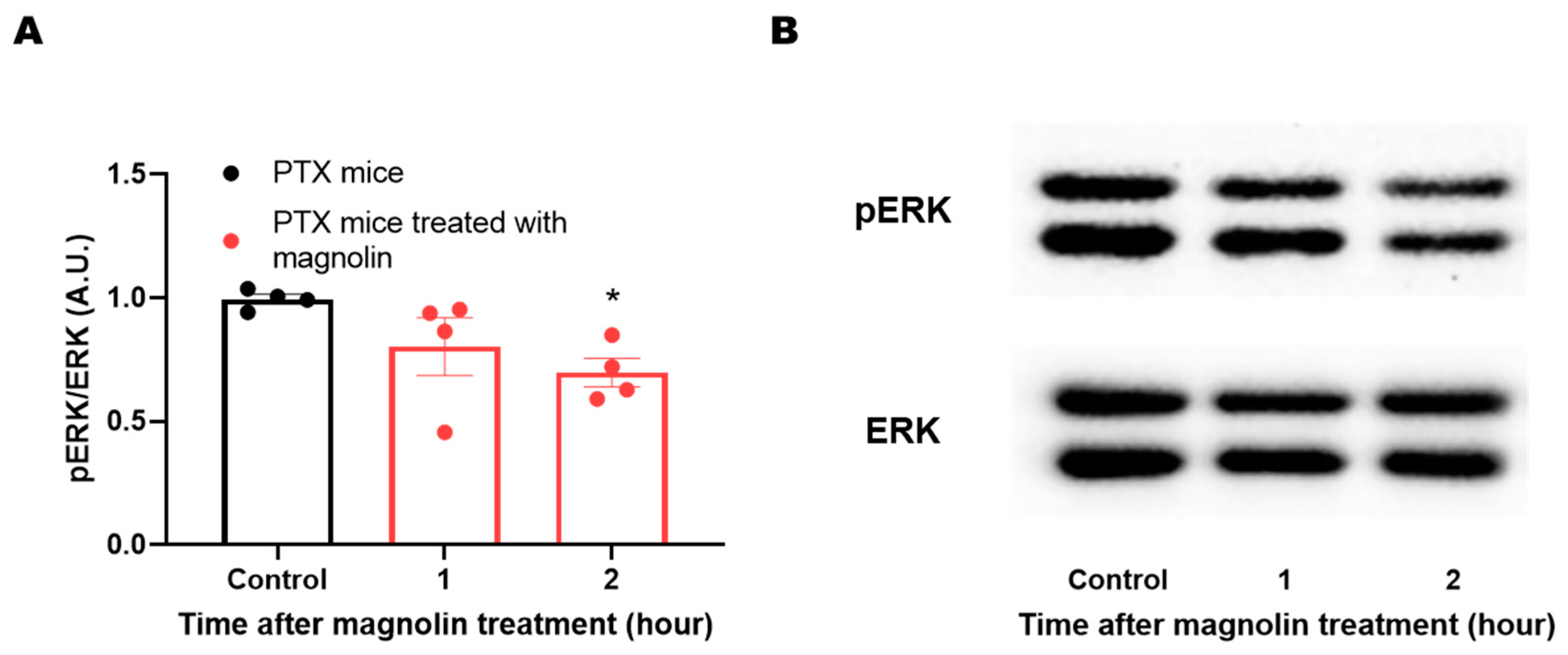 Plants 12 02283 g005 Plants 12 02283 g005