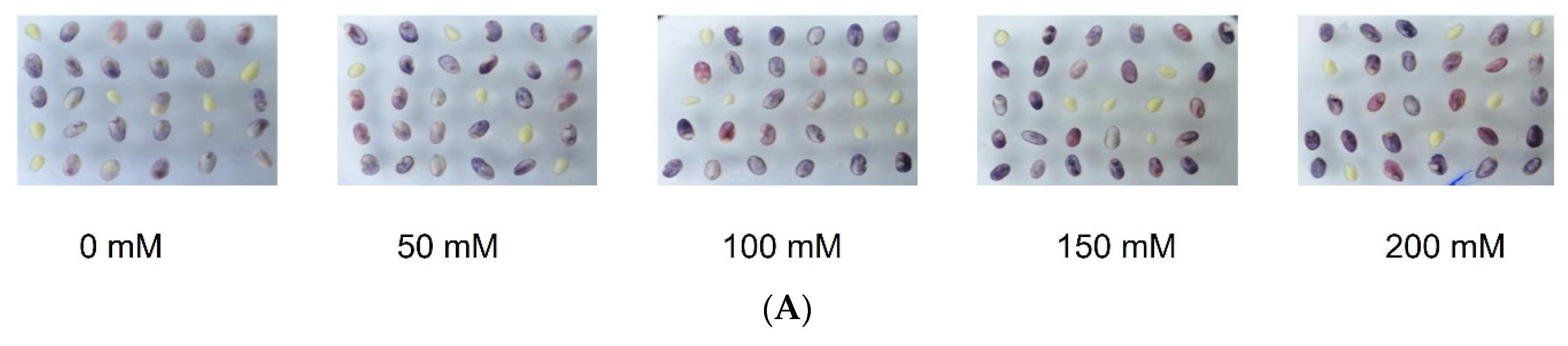 Plants 12 02314 g003a Plants 12 02314 g003a