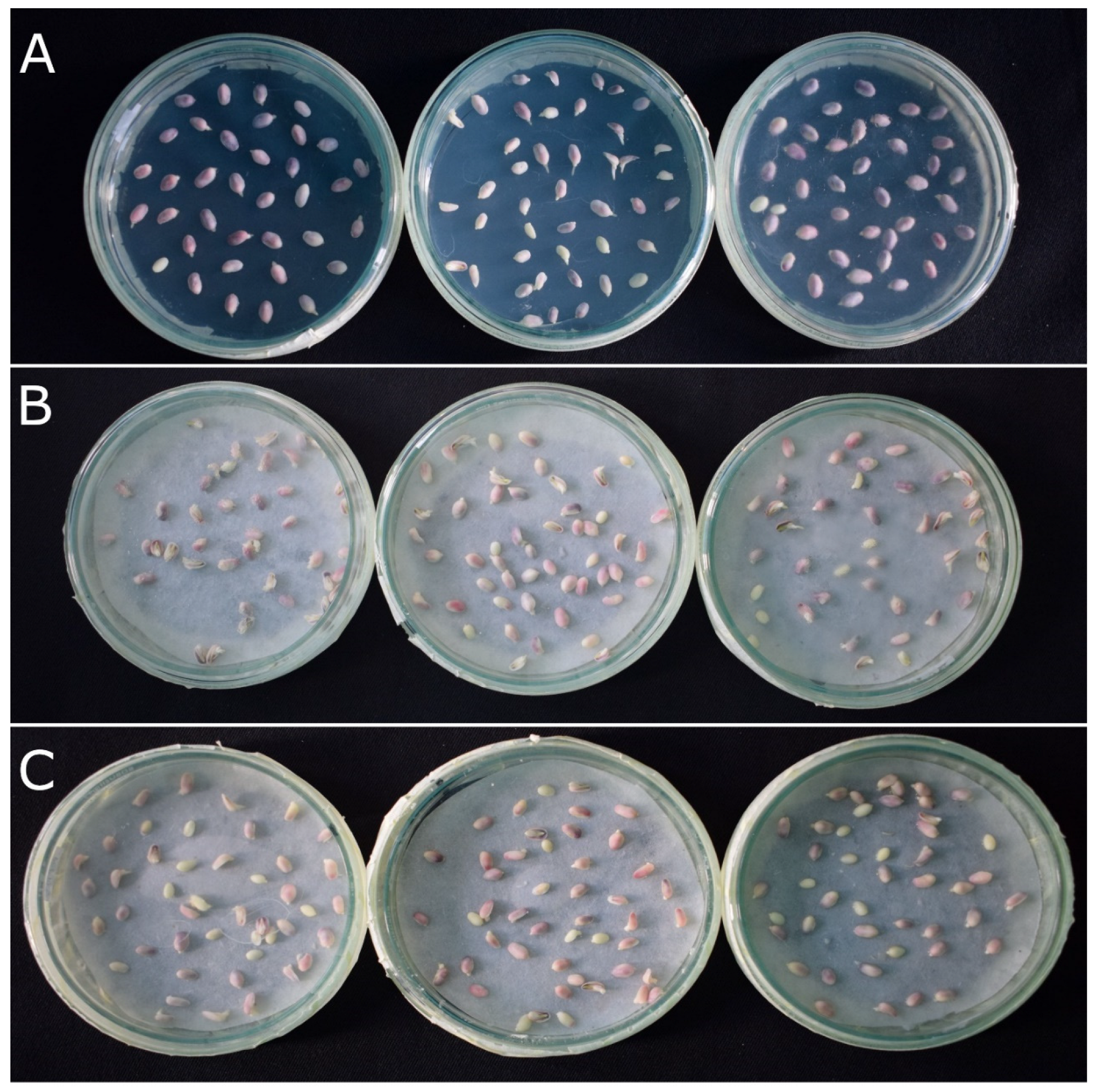 Plants 12 02314 g005 Plants 12 02314 g005