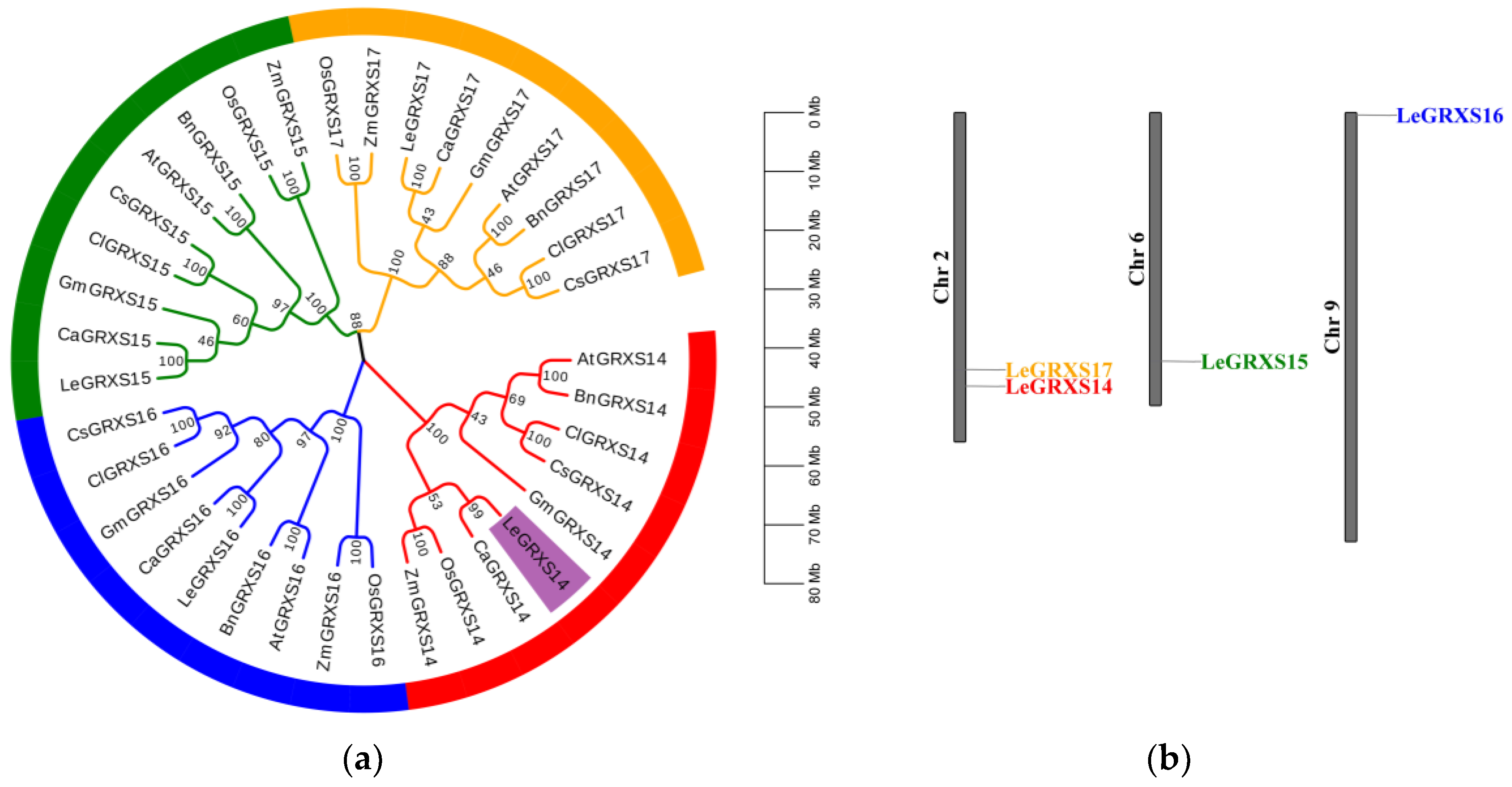 Plants 12 02320 g001
