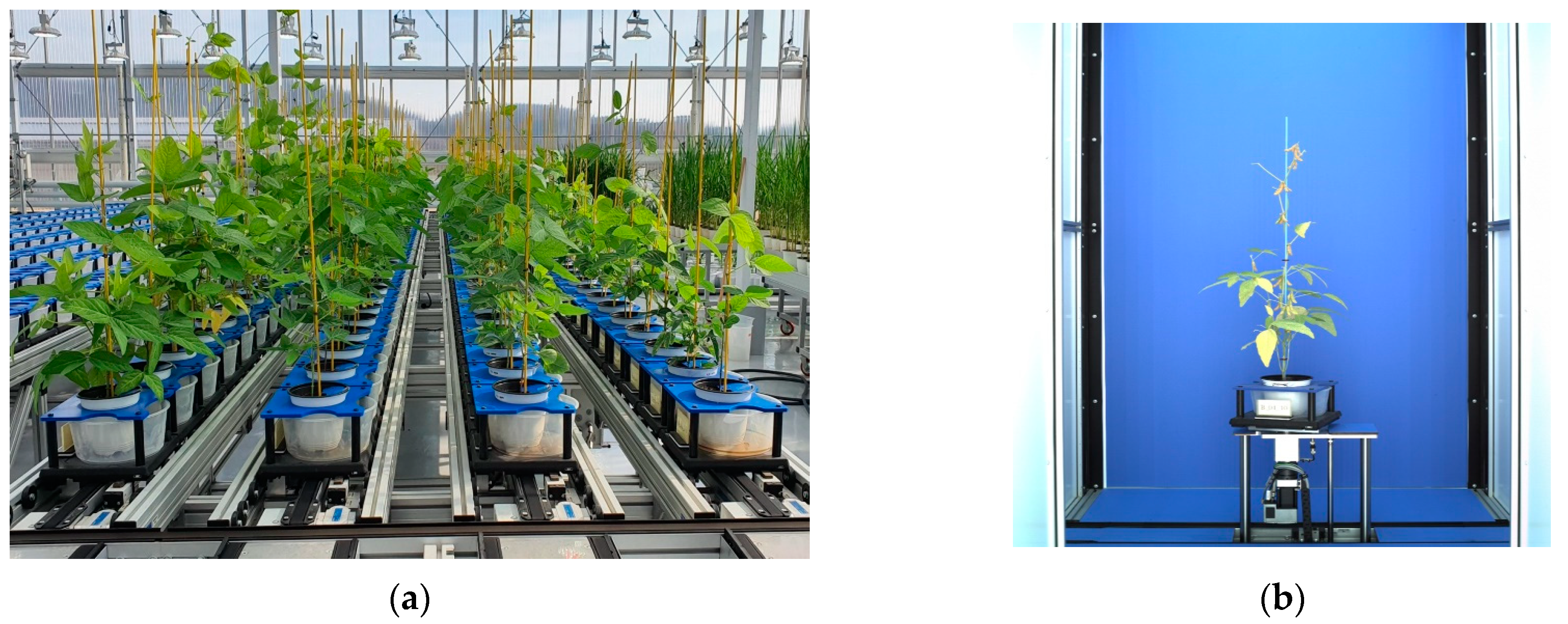 Plants 12 02331 g009