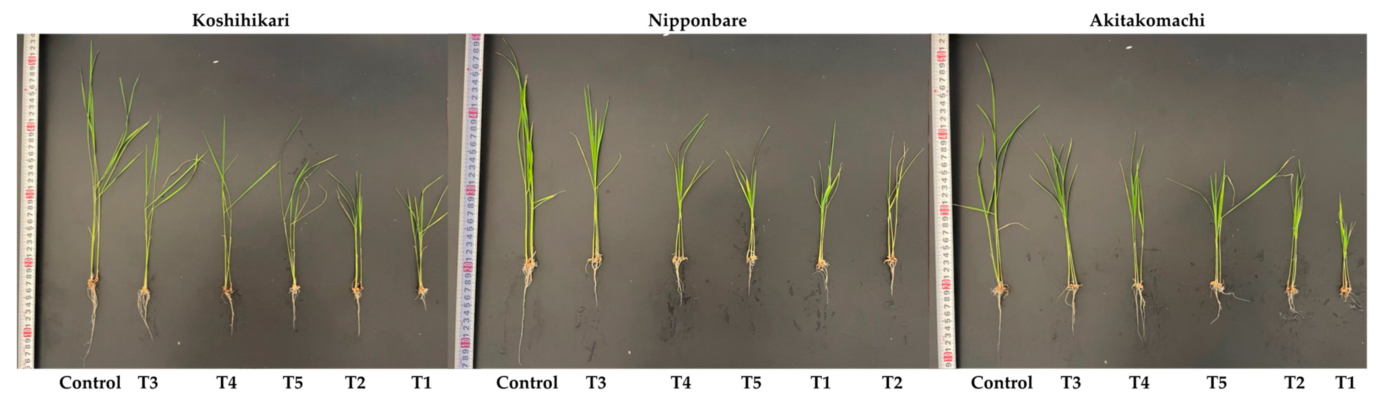 Plants 12 02359 g001 Plants 12 02359 g001