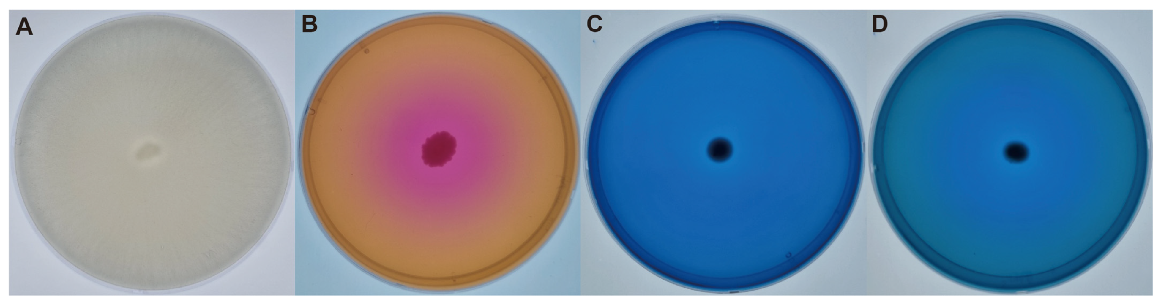 Plants 12 02398 g001