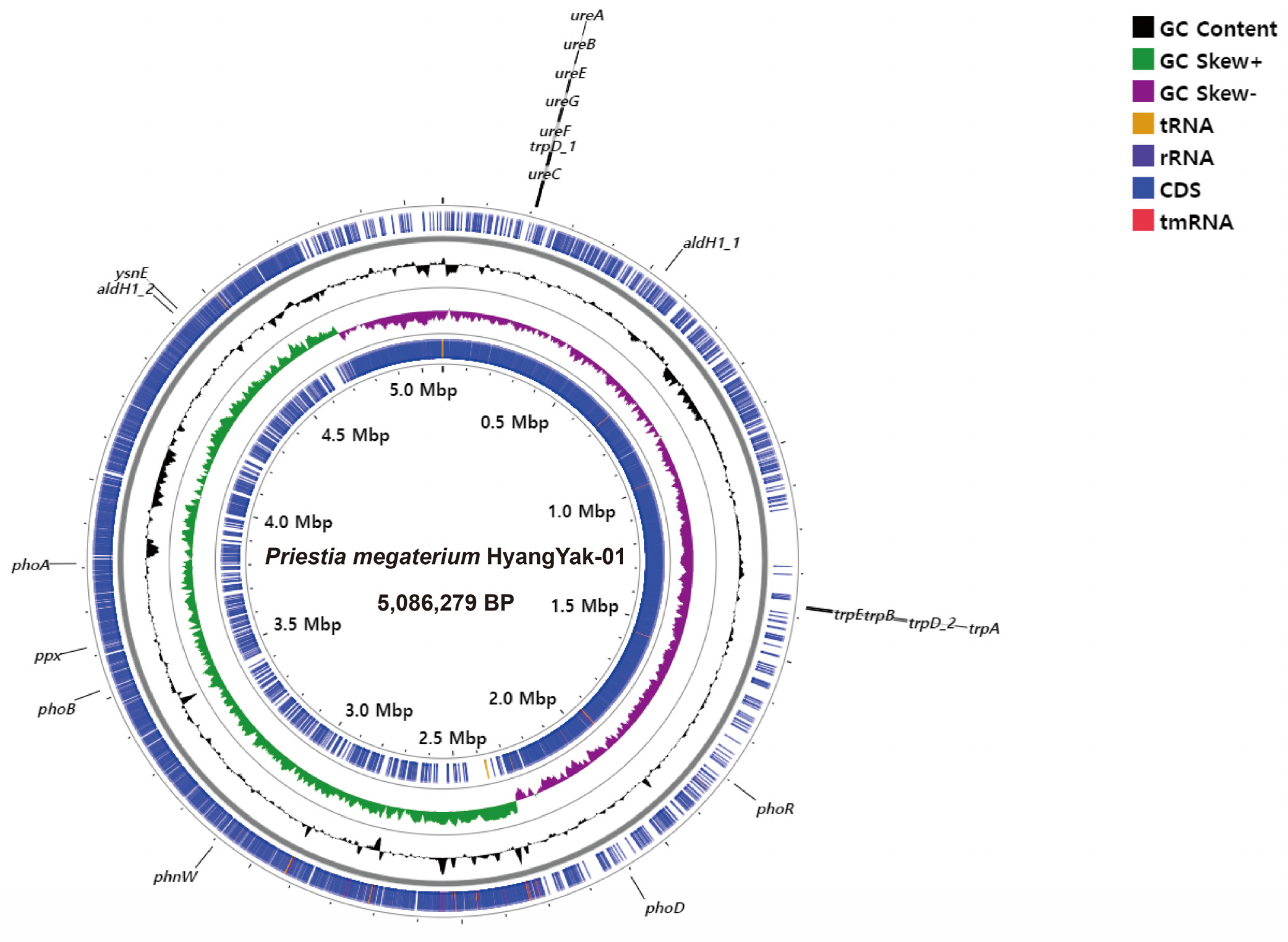 Plants 12 02398 g003