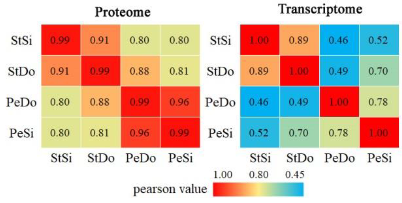 Plants | Free Full-Text | Combined Transcriptome and Proteome Analysis  Provides Insights into Petaloidy in Pomegranate