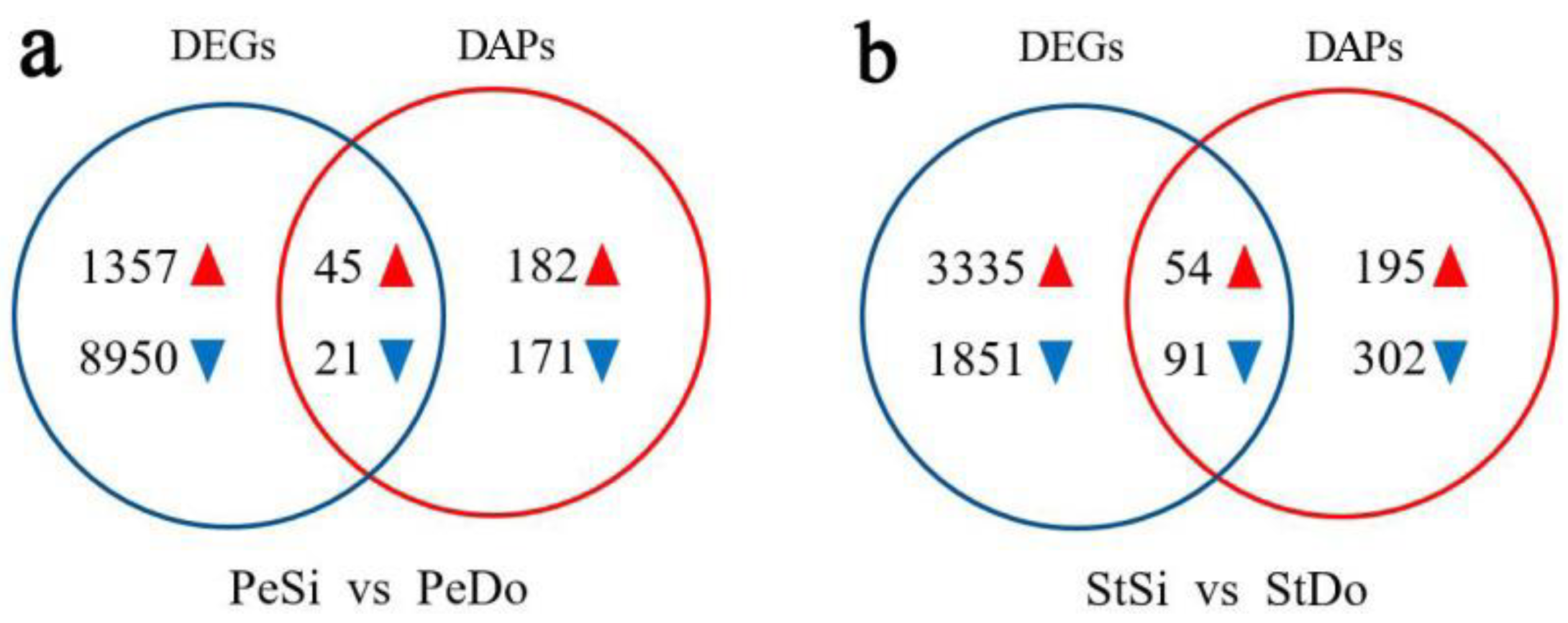 Plants 12 02402 g016