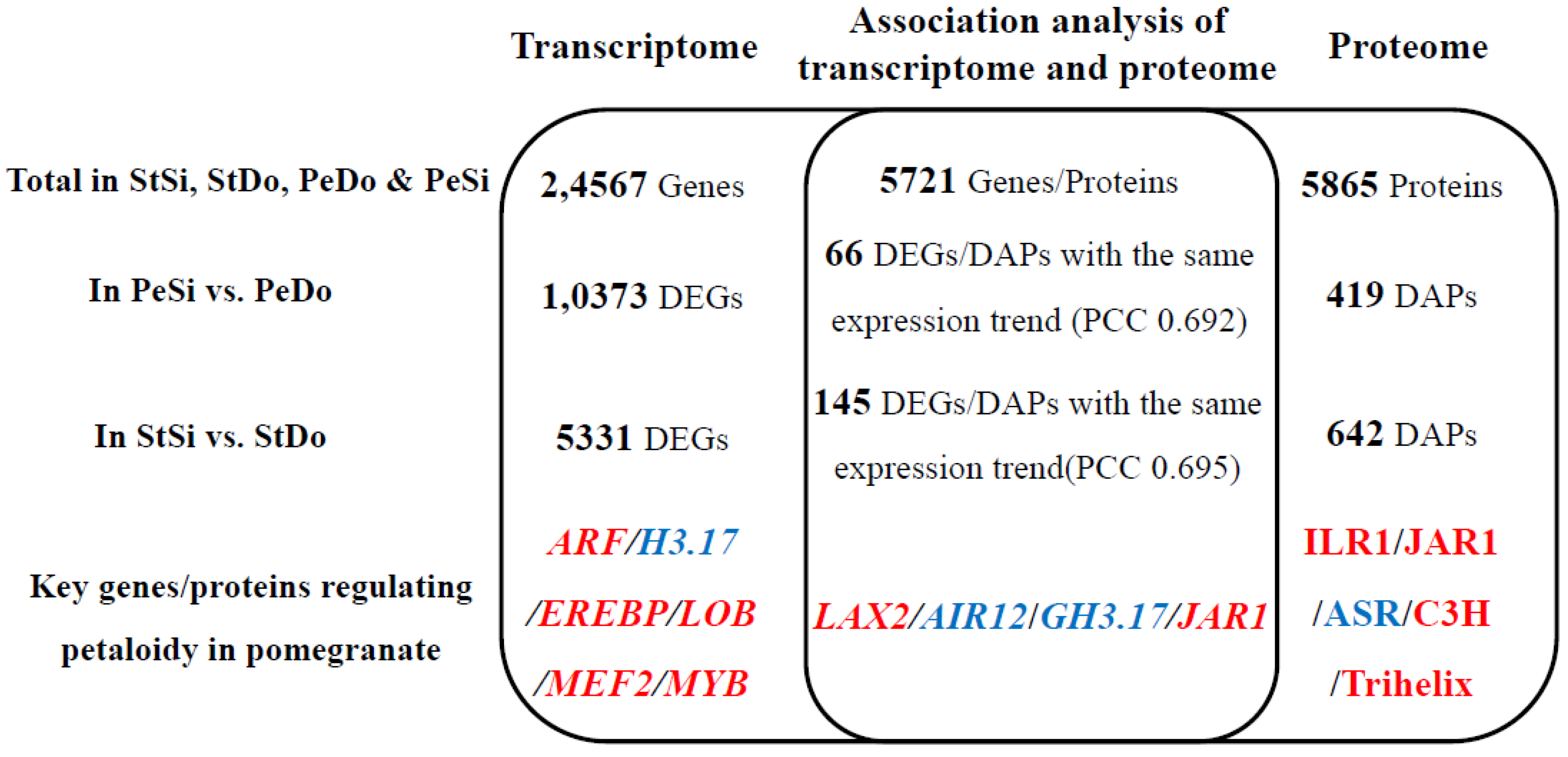 Plants | Free Full-Text | Combined Transcriptome and Proteome Analysis  Provides Insights into Petaloidy in Pomegranate