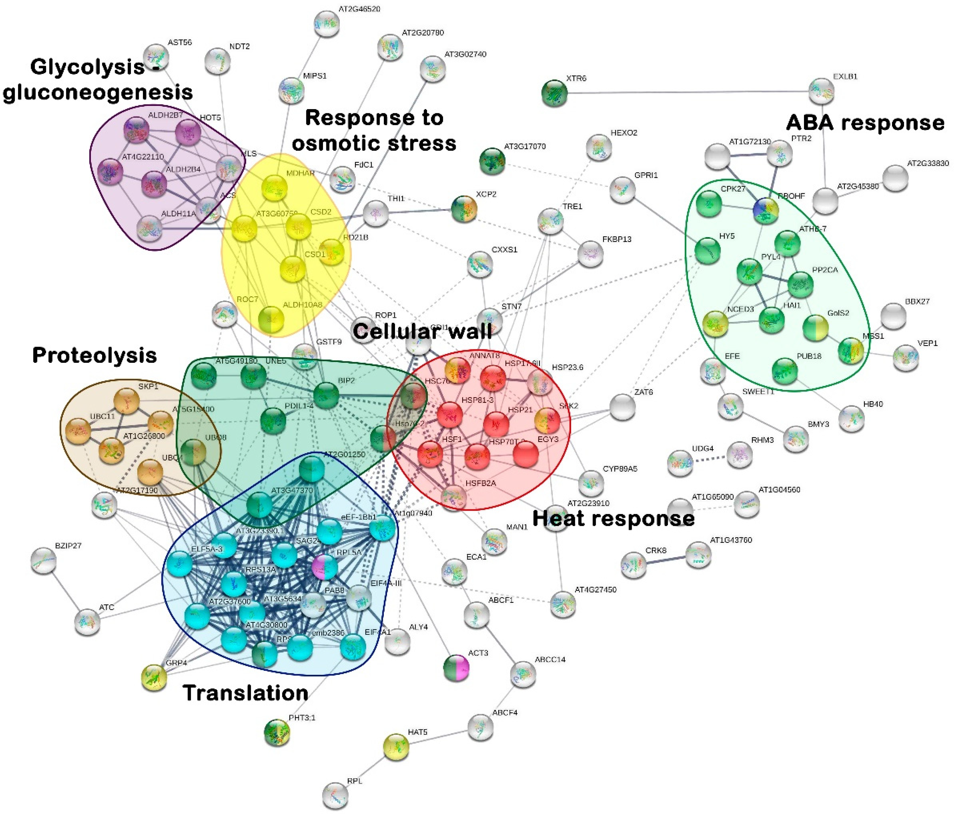 Plants 12 02404 g003 Plants 12 02404 g003