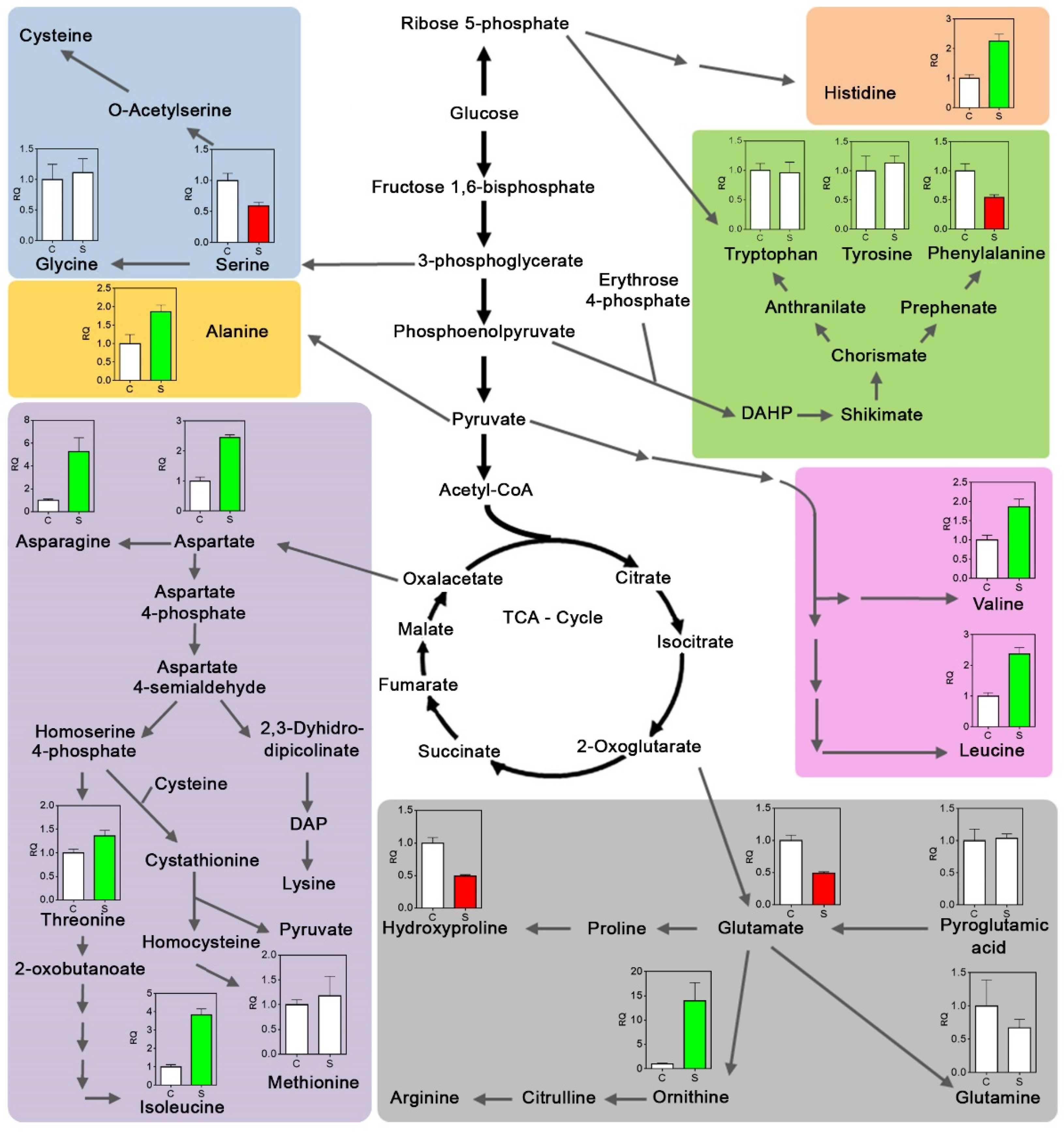 Plants 12 02404 g005 Plants 12 02404 g005