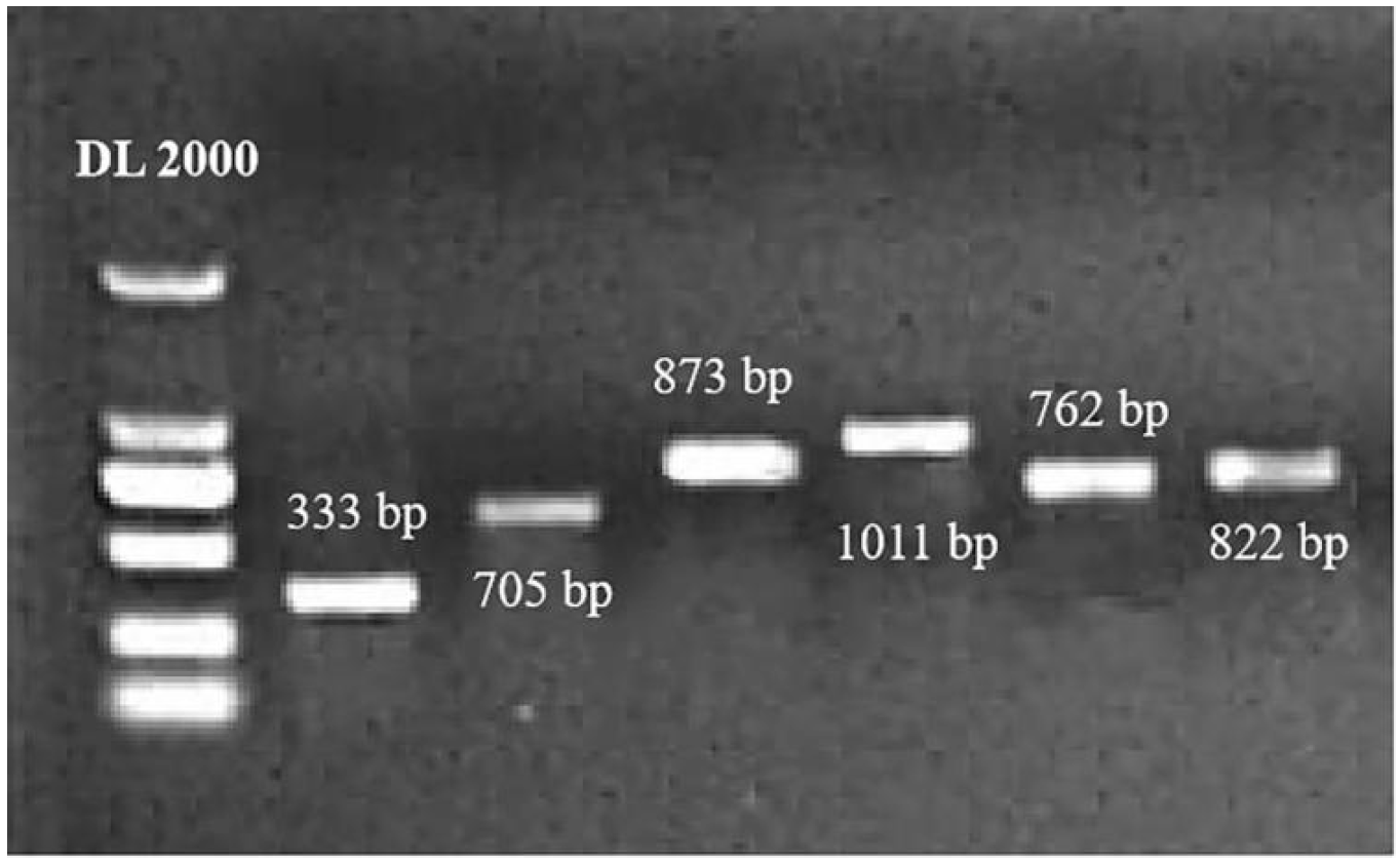 Plants 12 02416 g001